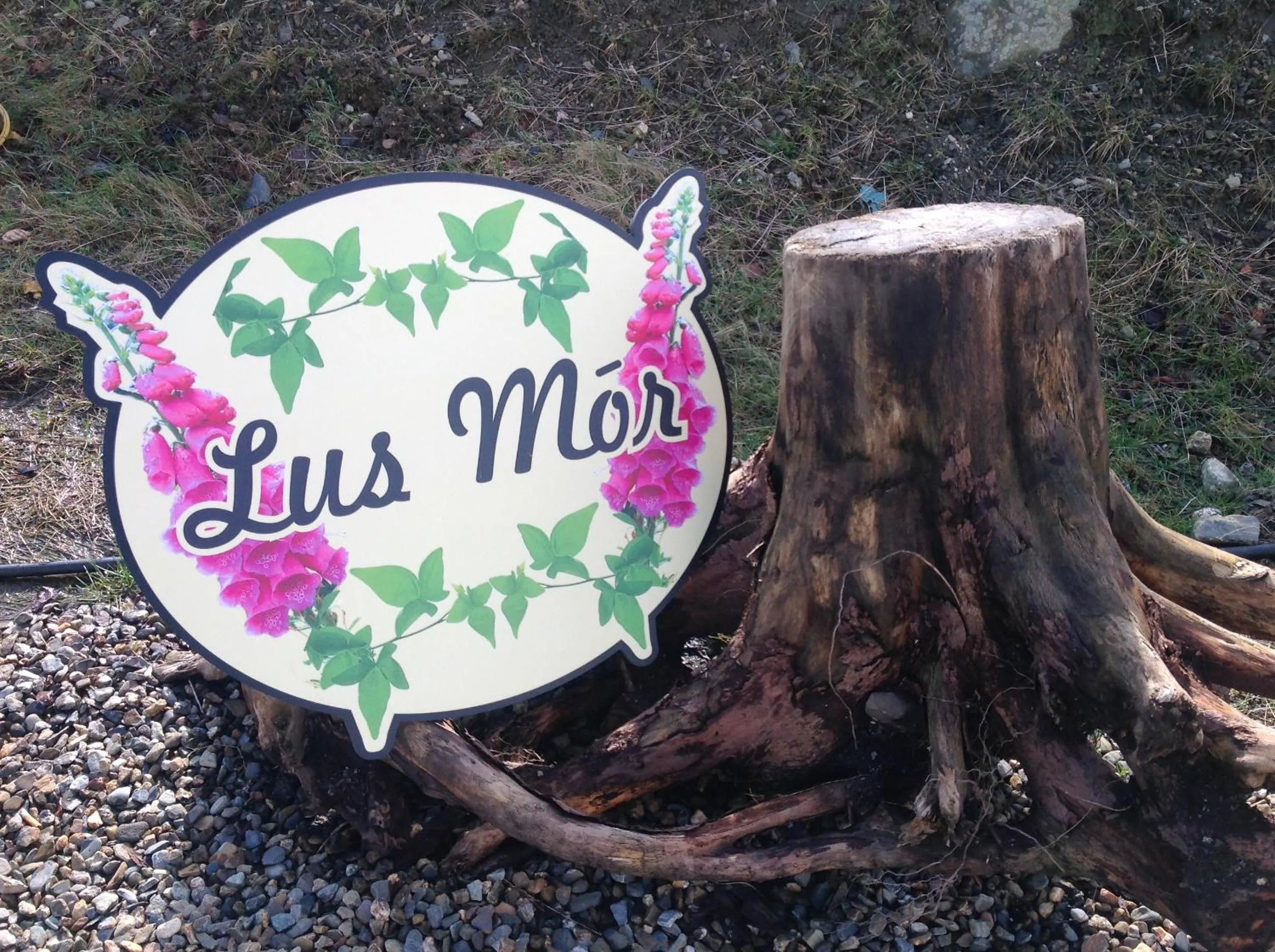 Property logo or sign in Lus Mor