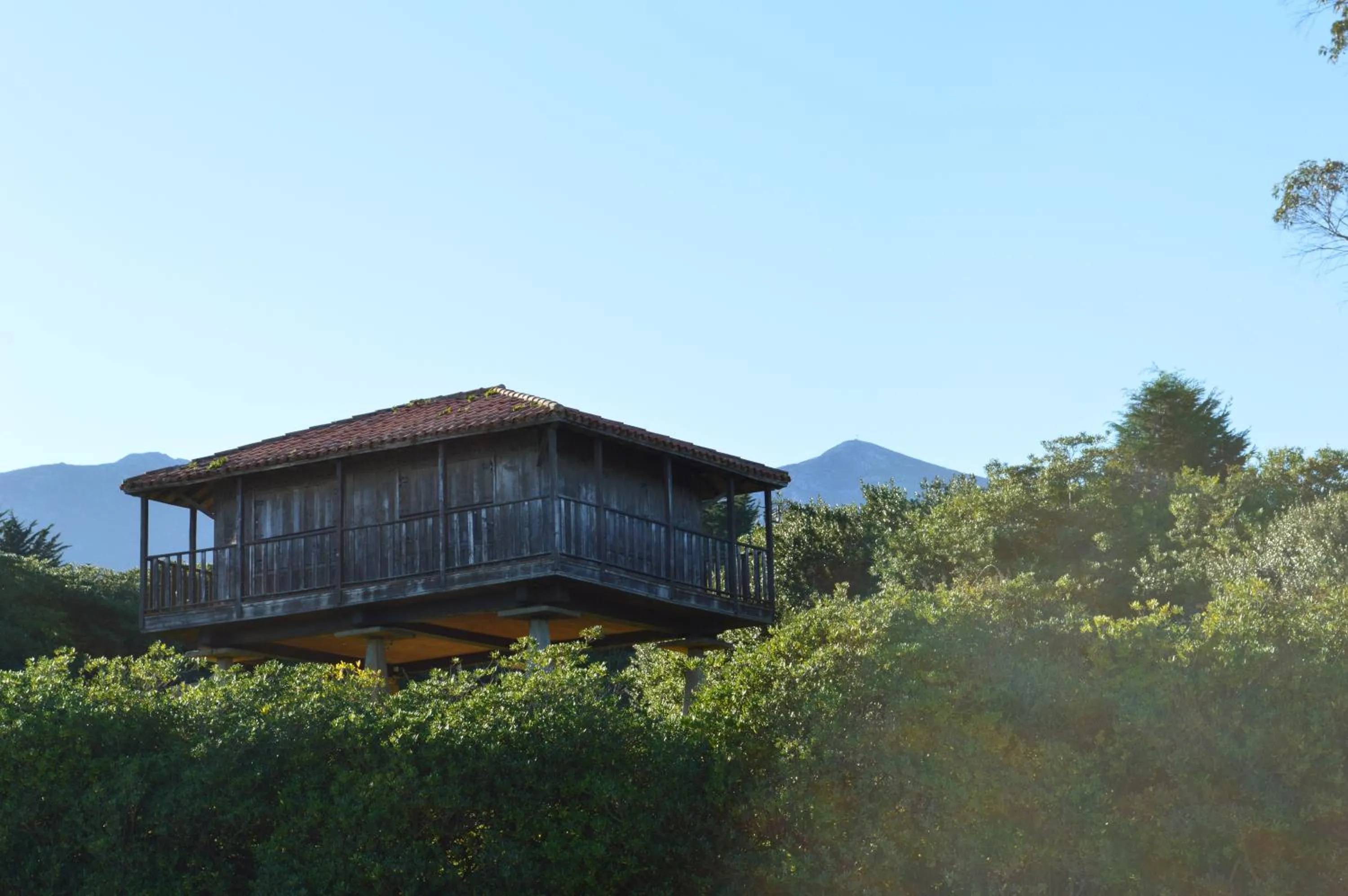 Off site in Hotel The Island