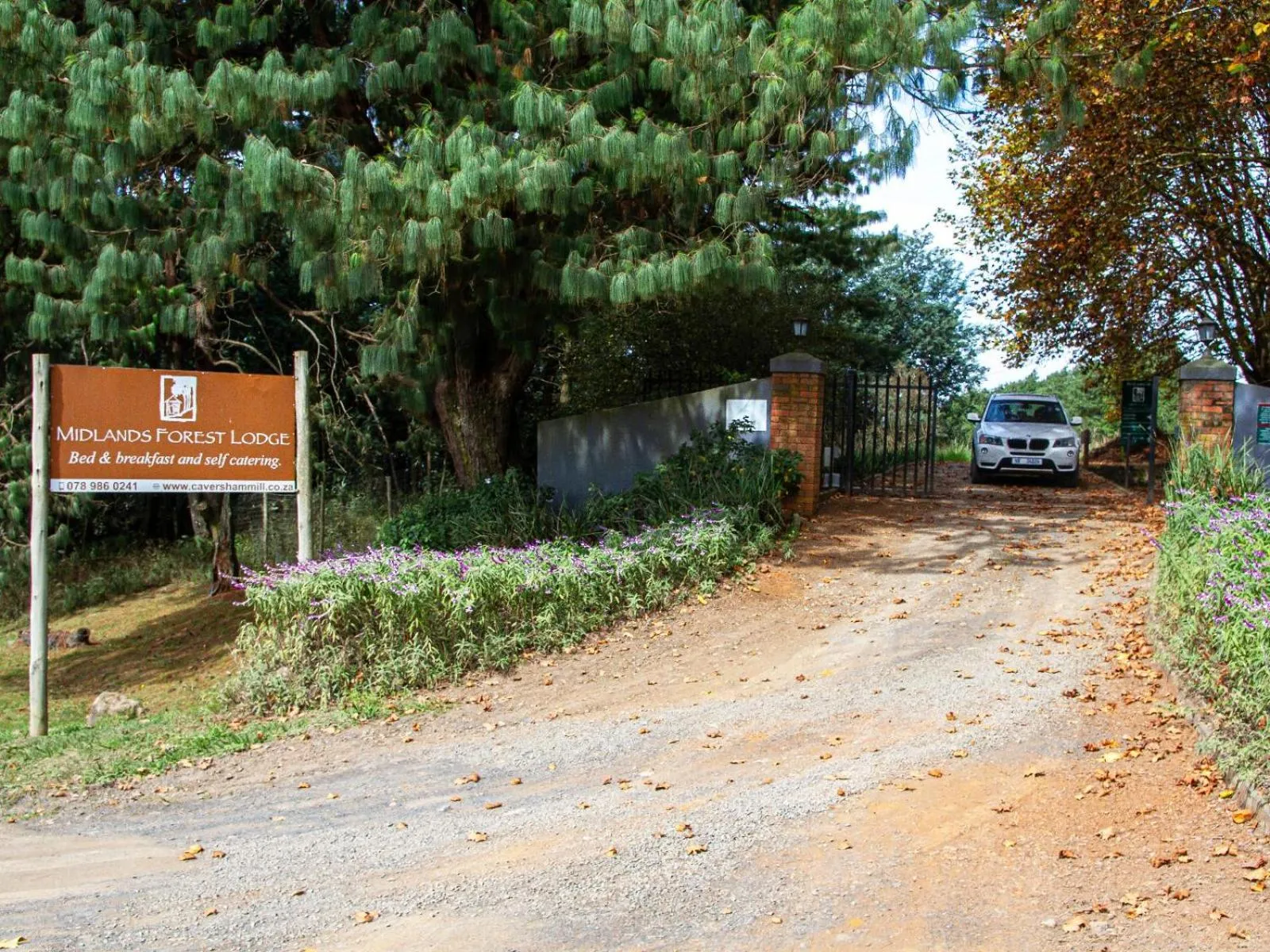 Street view in Midlands Forest Lodge