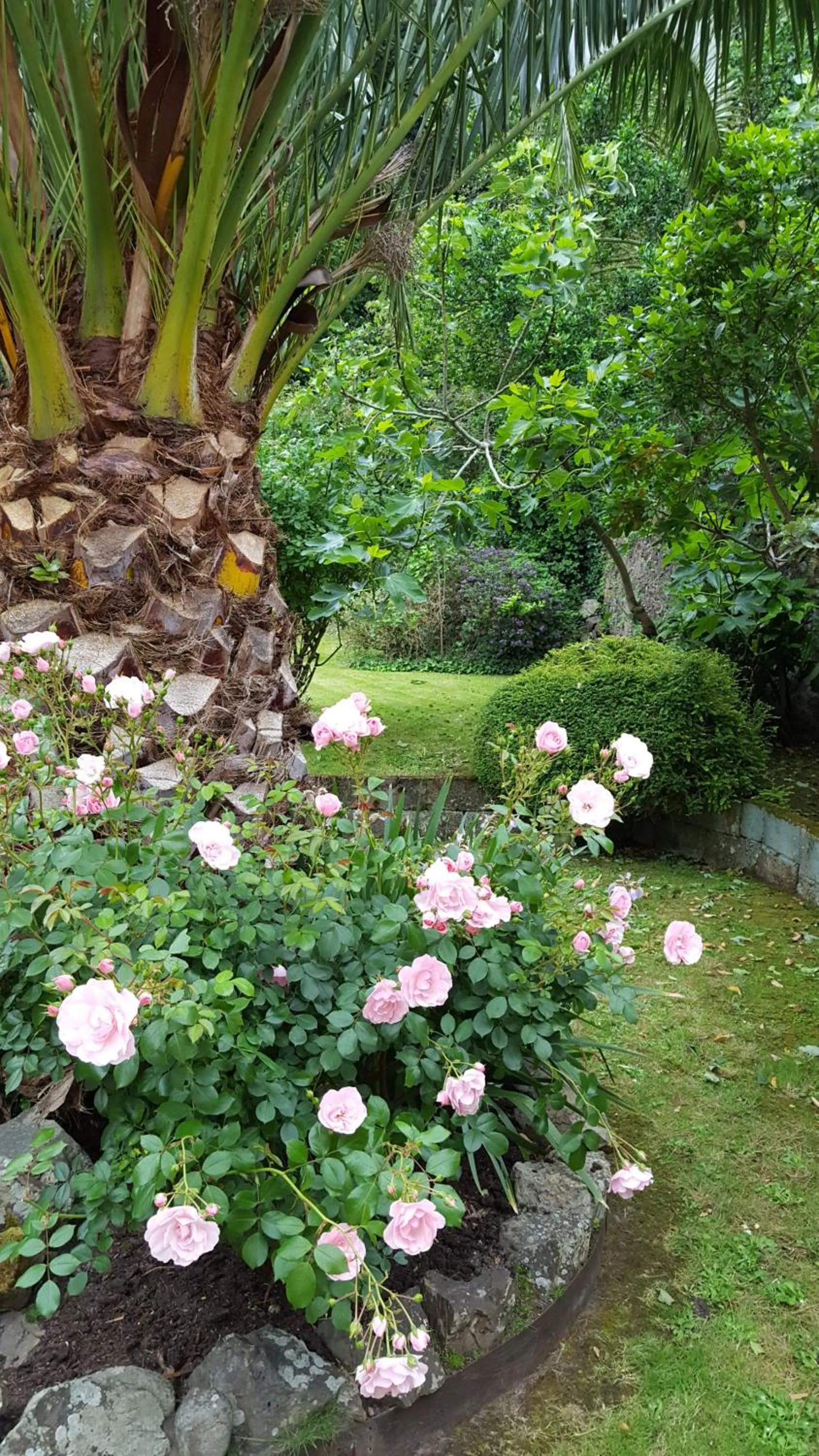 Garden in Franklyn Guesthouse