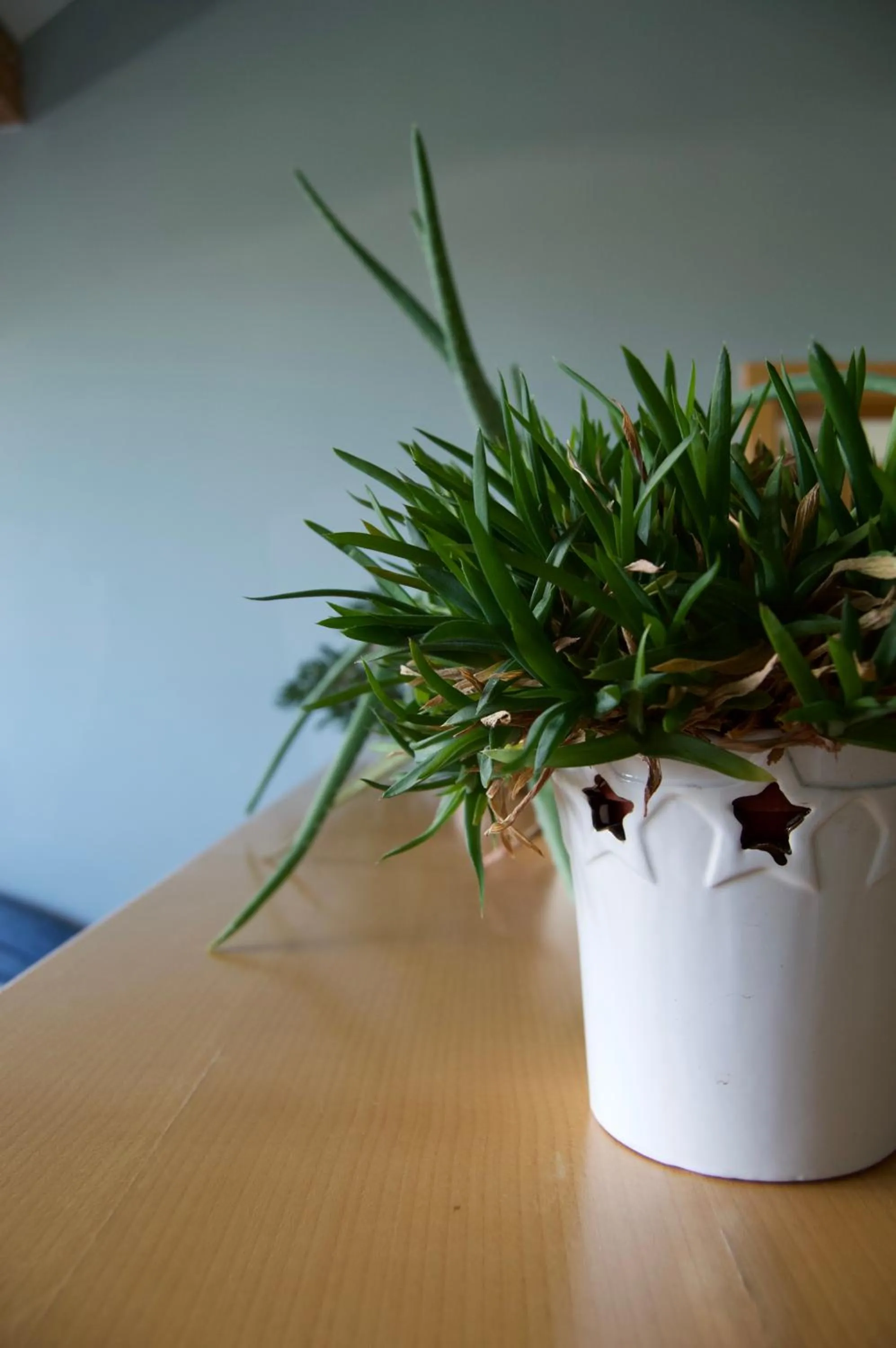 Rudi Hiti's Guest House