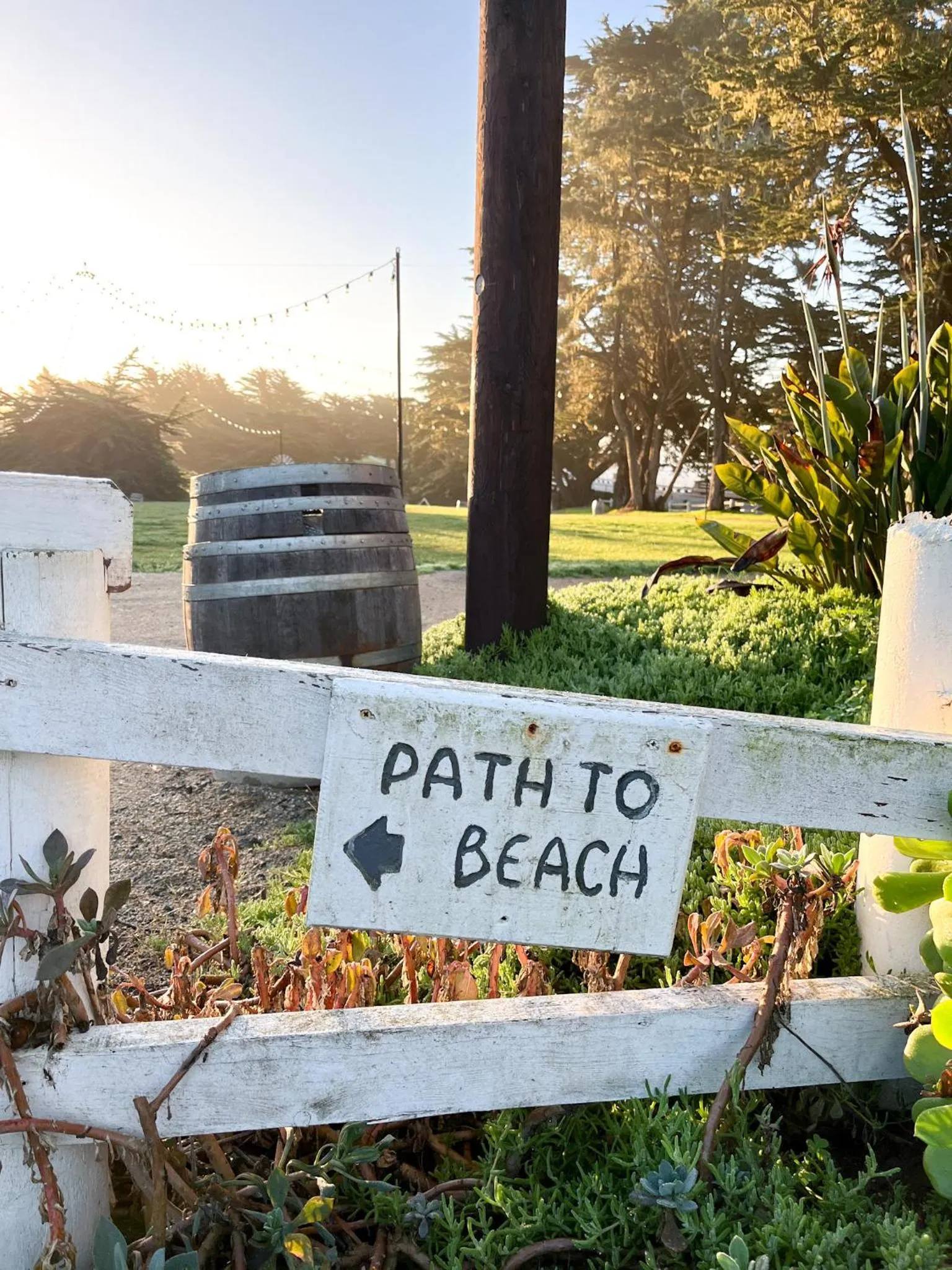 Area and facilities in Oceanpoint Ranch