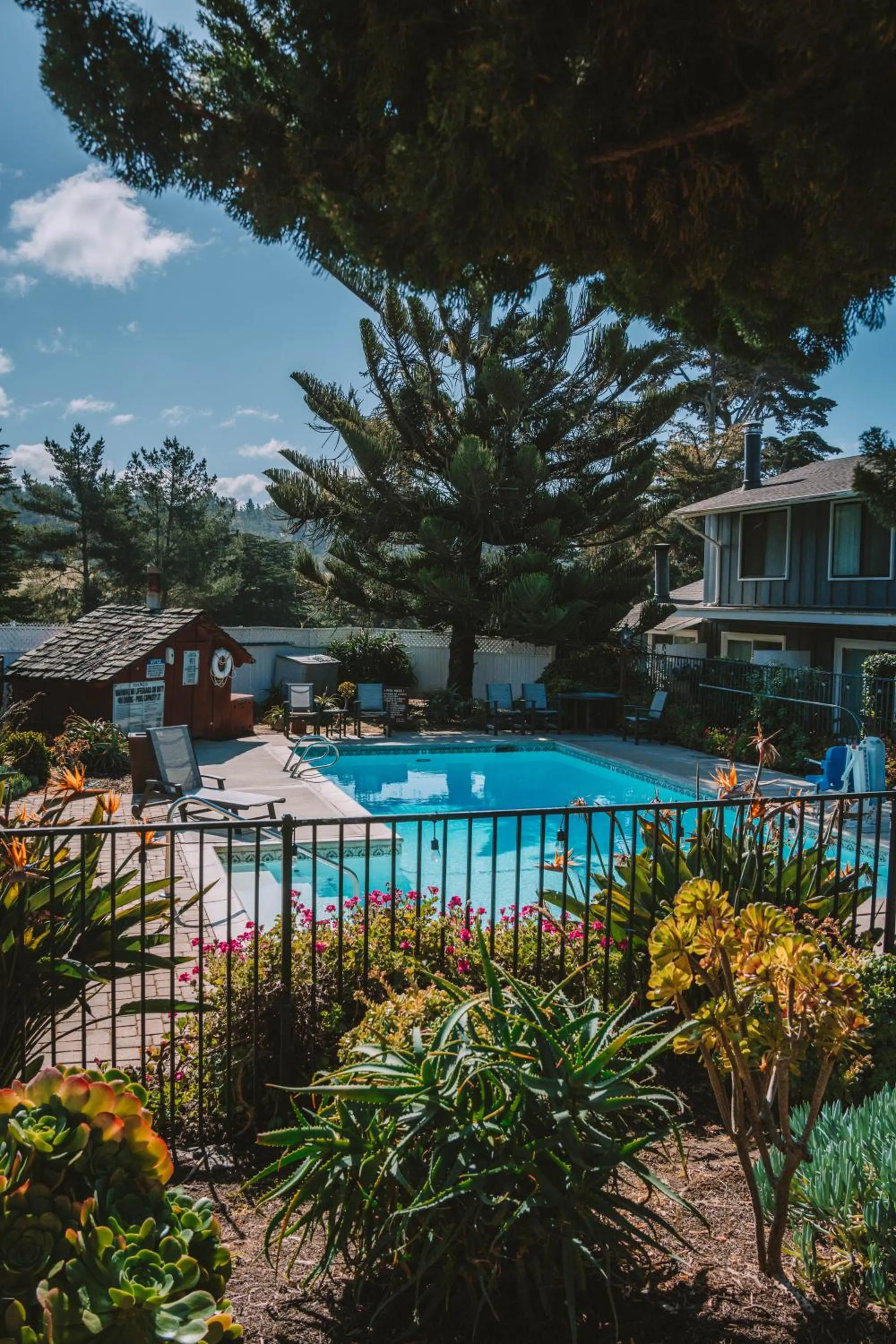 Swimming pool in Oceanpoint Ranch