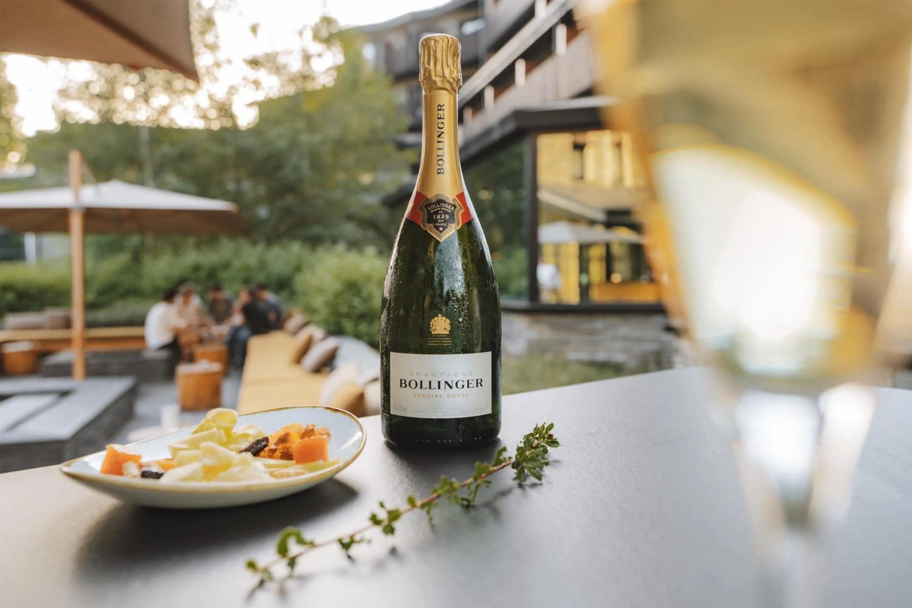 Park Piolets MountainHotel & Spa