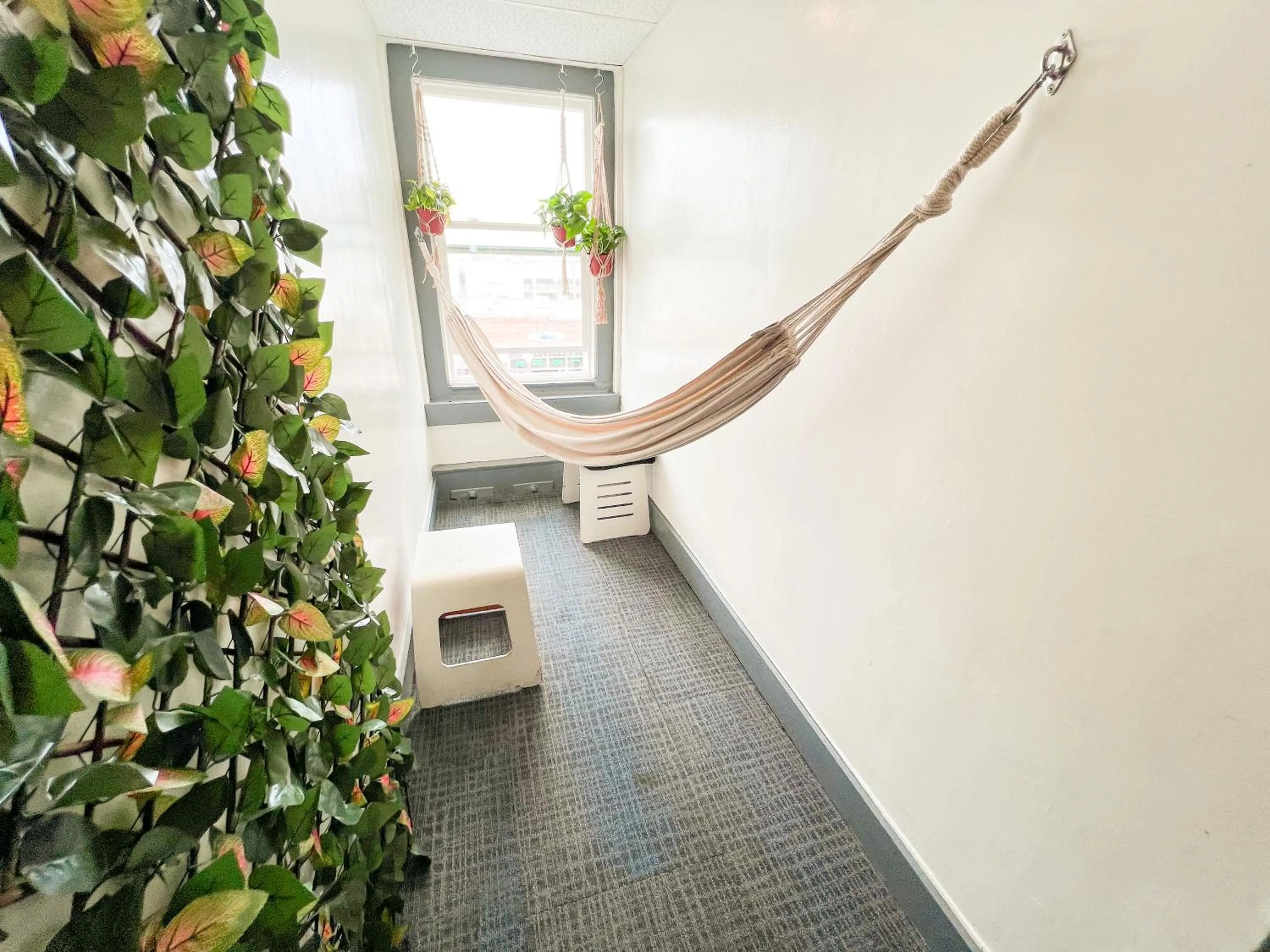 Communal lounge/ TV room in ITH Hermosa Beach Surf Hostel LAX