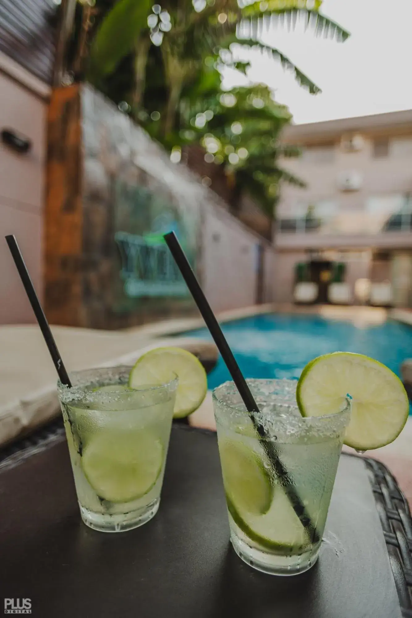 Pool view in Hotel Yvera Cataratas Pool view in Hotel Yvera Cataratas