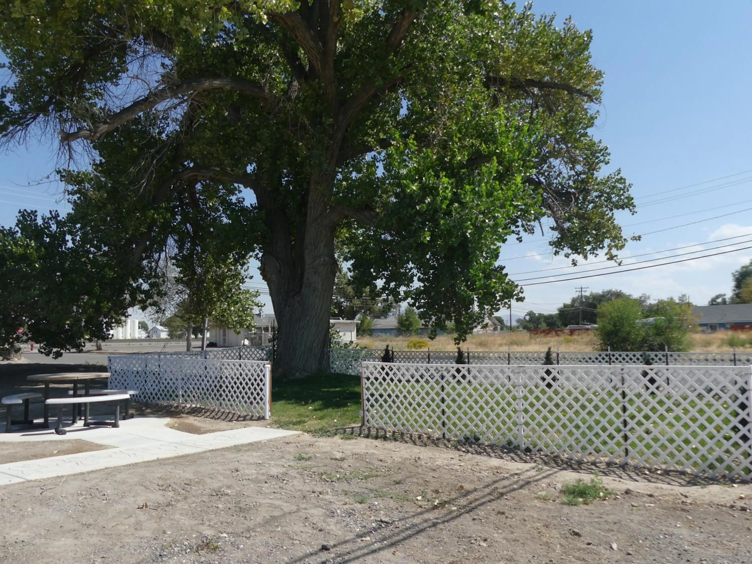 pet friendly in Big Chief Motel