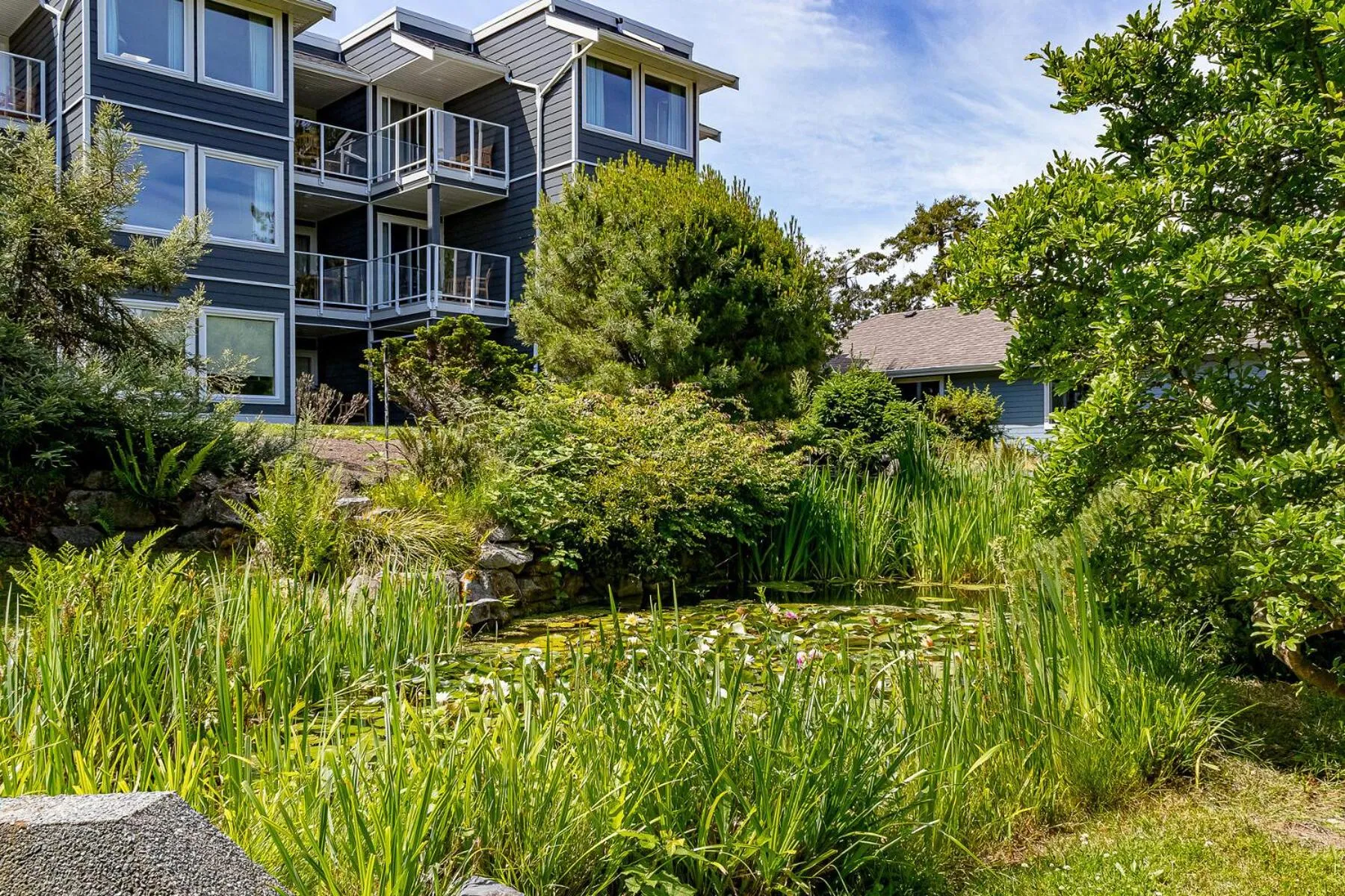 Garden view in Pacific Shores Resort & Spa