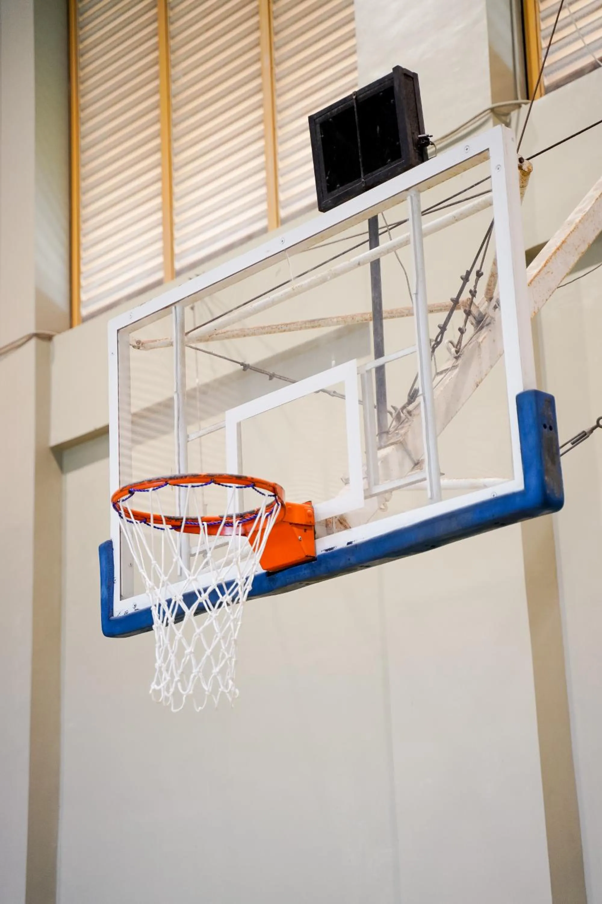 Activities in Timberland Highlands Resort