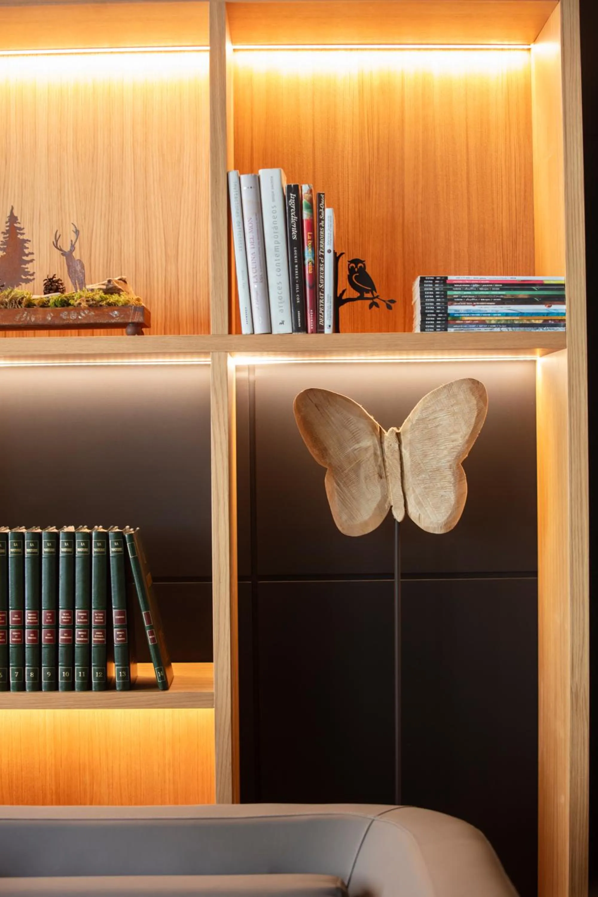 Library in Acta Arthotel