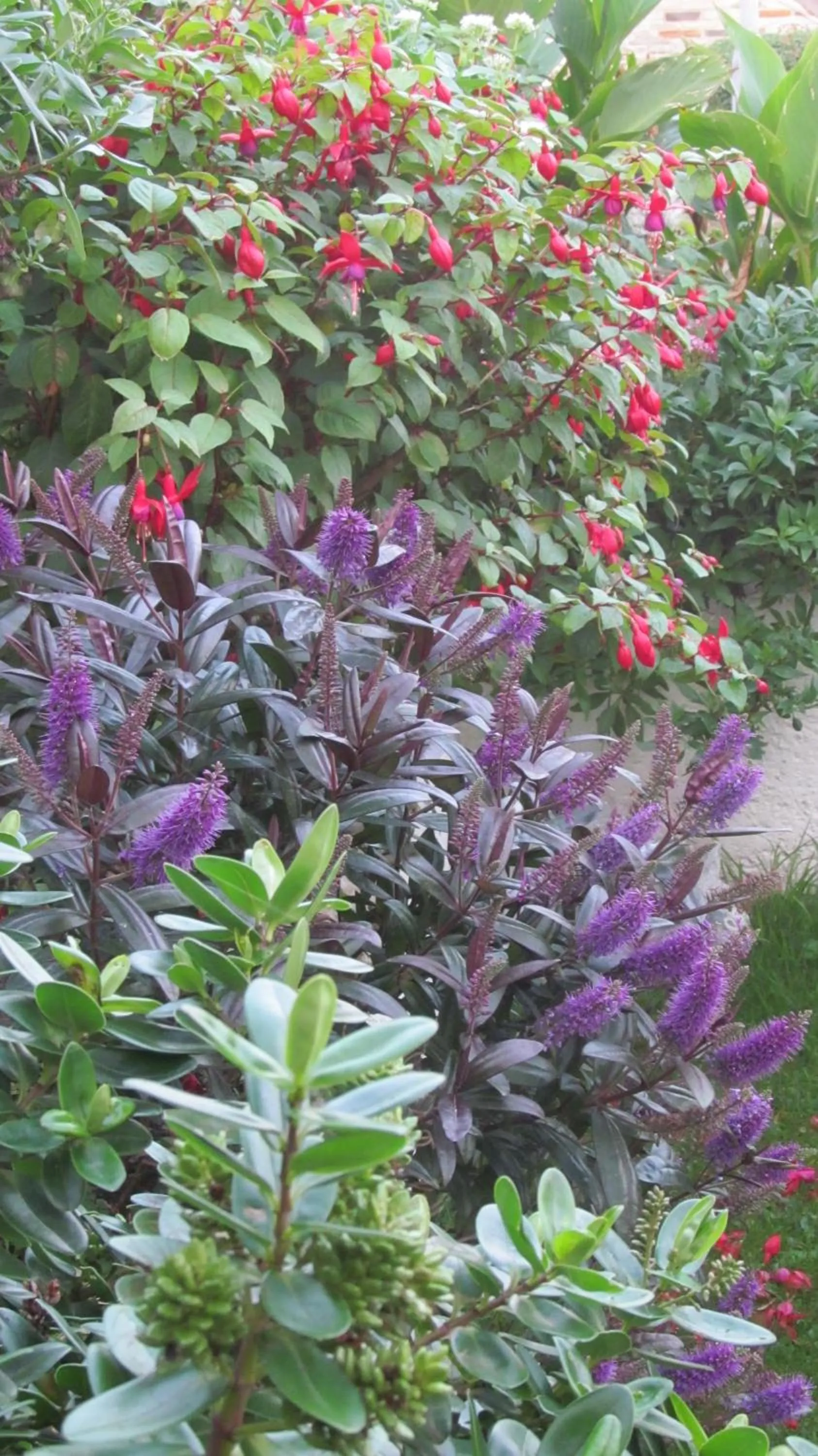 Garden in Bosayne Guest House