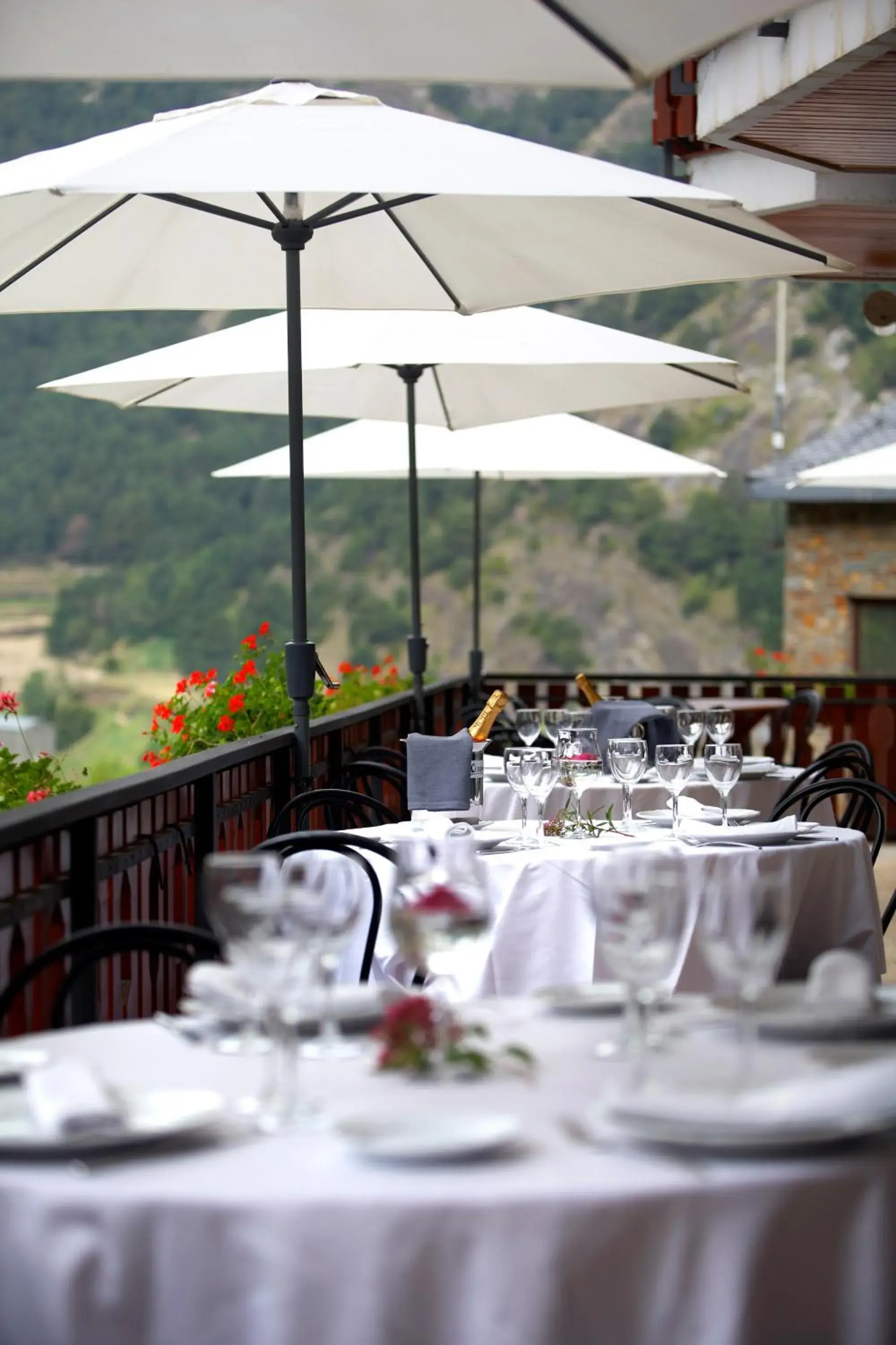 Restaurant/places to eat in Hotel Coma Restaurant/places to eat in Hotel Coma