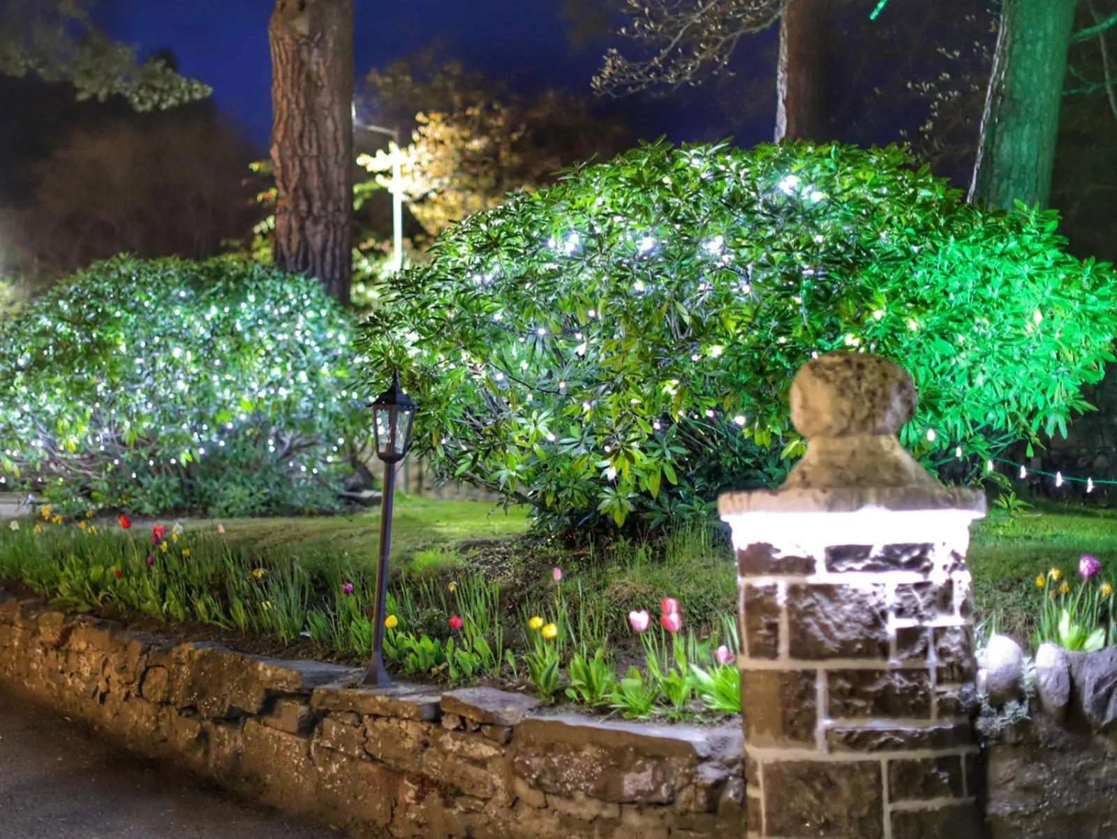 Night in Westlands of Pitlochry