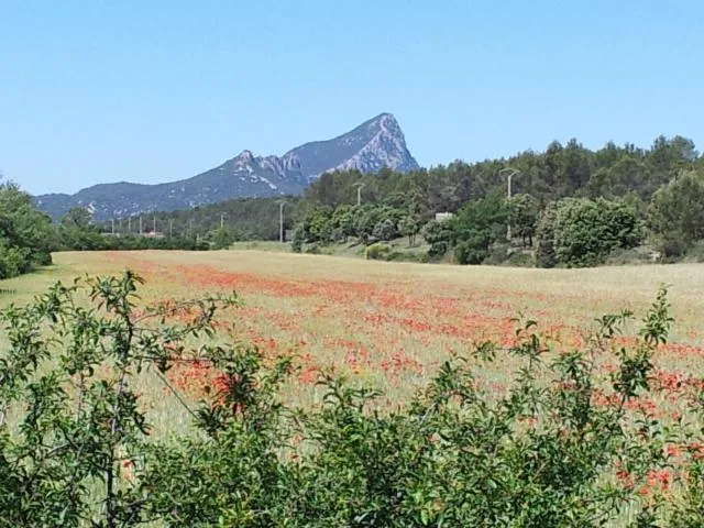 Natural landscape in Villa des Cammaous