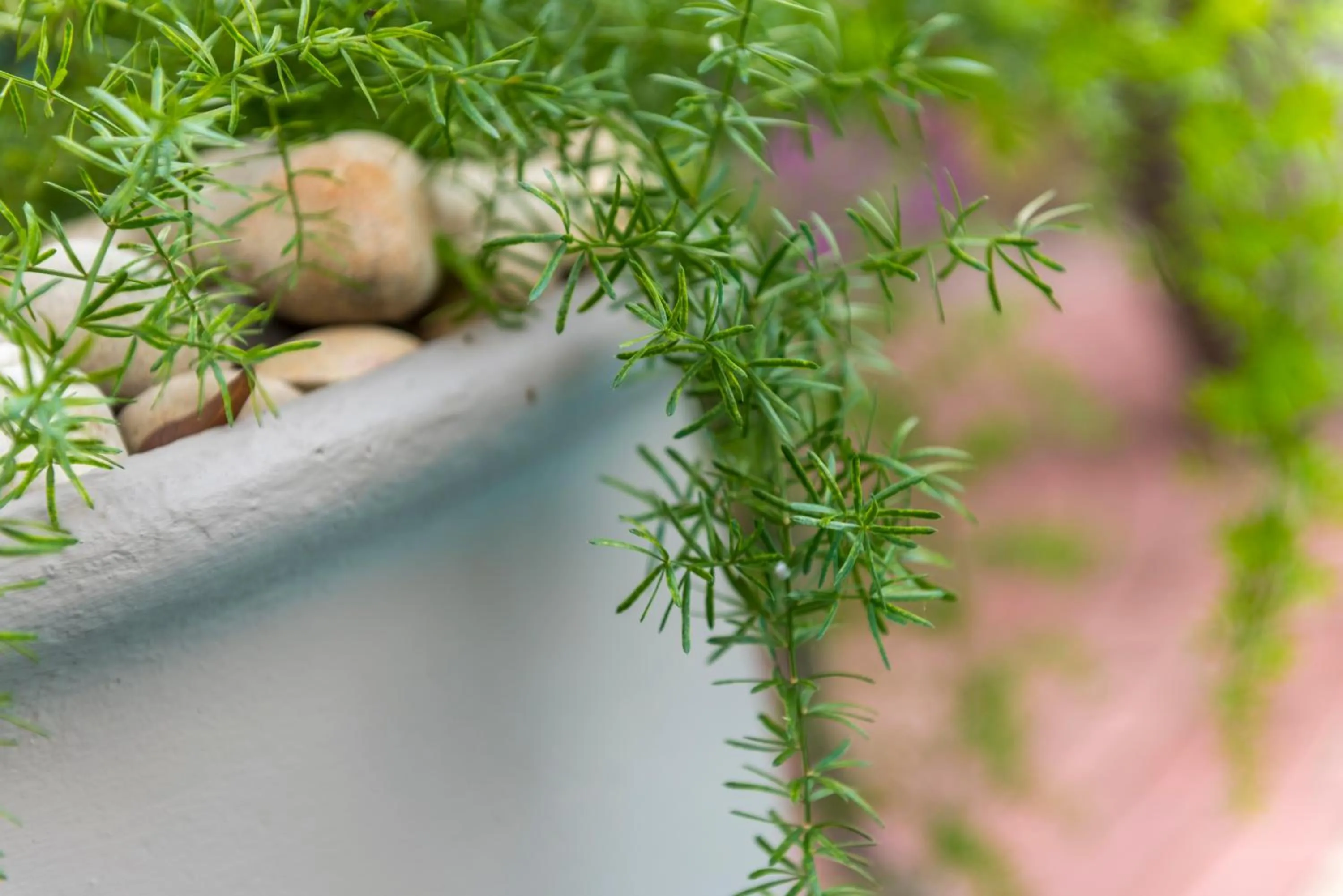 Garden in Kingfisher GuestHouse