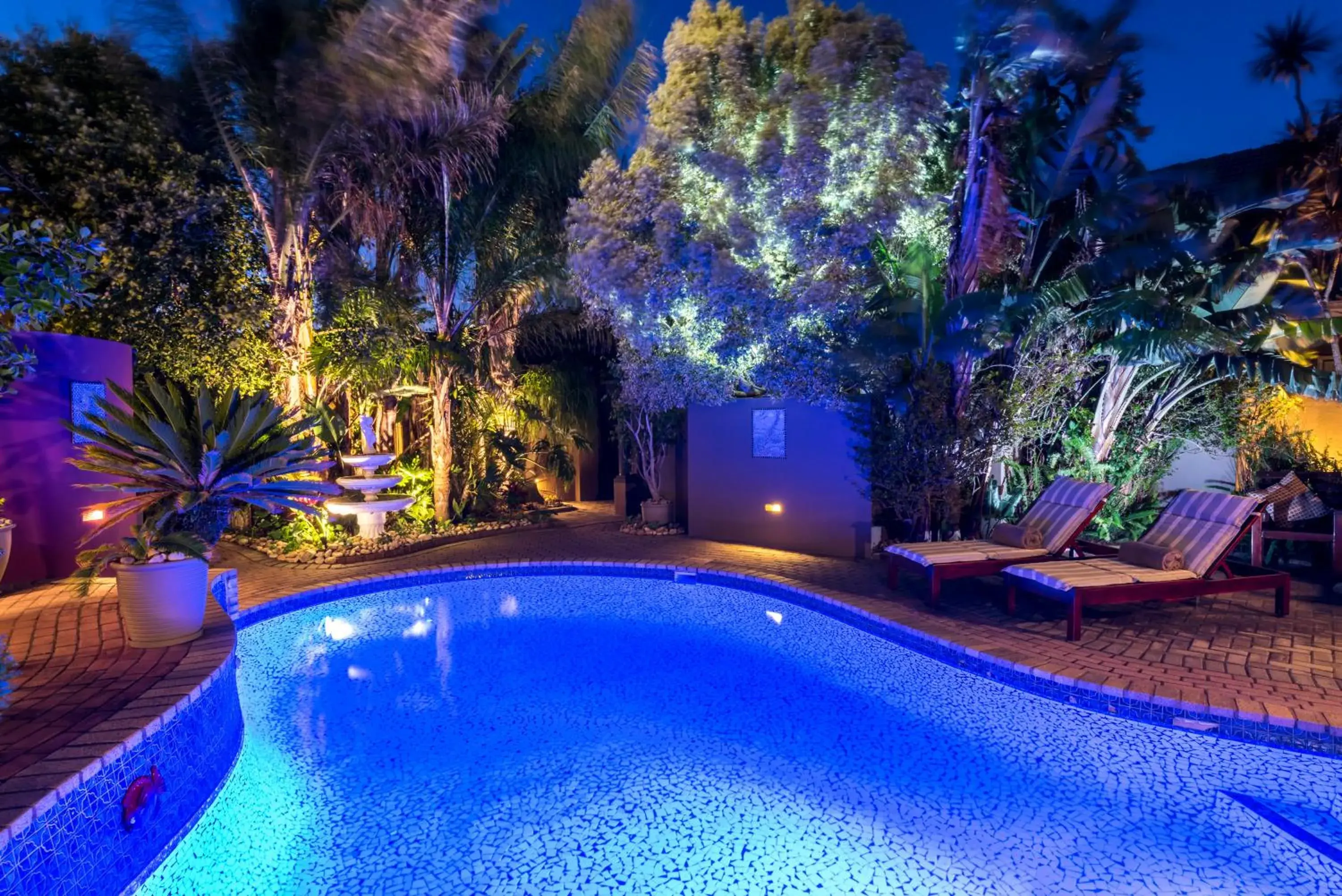 Swimming pool in Kingfisher GuestHouse Swimming pool in Kingfisher GuestHouse