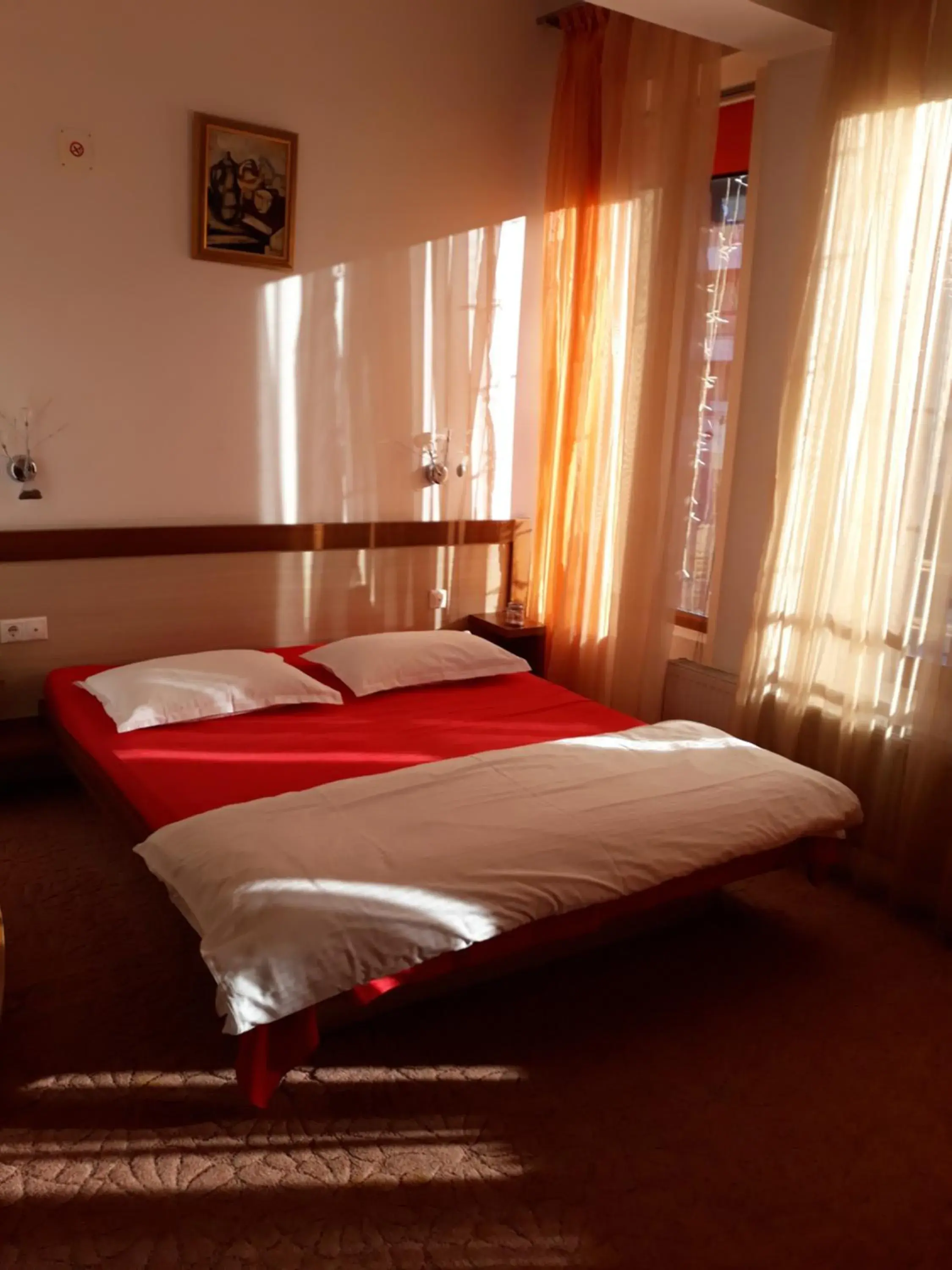 Double Room in Vila Nicoleta Double Room in Vila Nicoleta