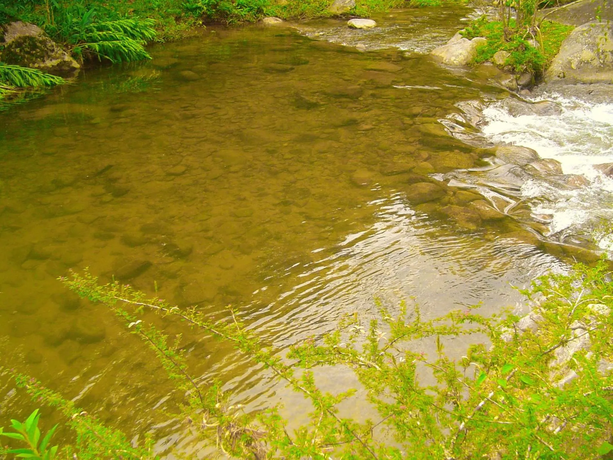 Natural landscape in Casa Dell Angelo Apartamentos