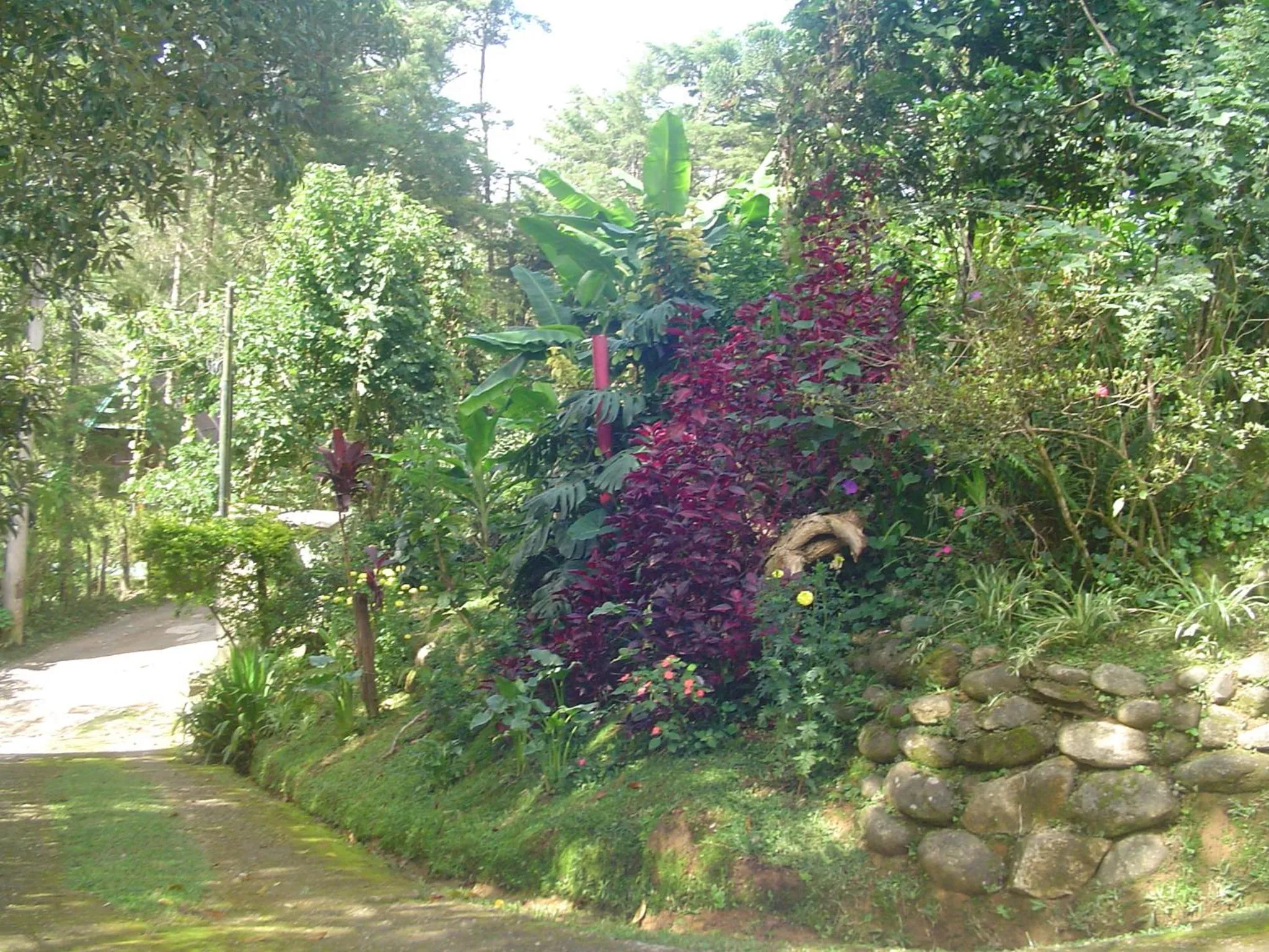 Garden in Casa Dell Angelo Apartamentos