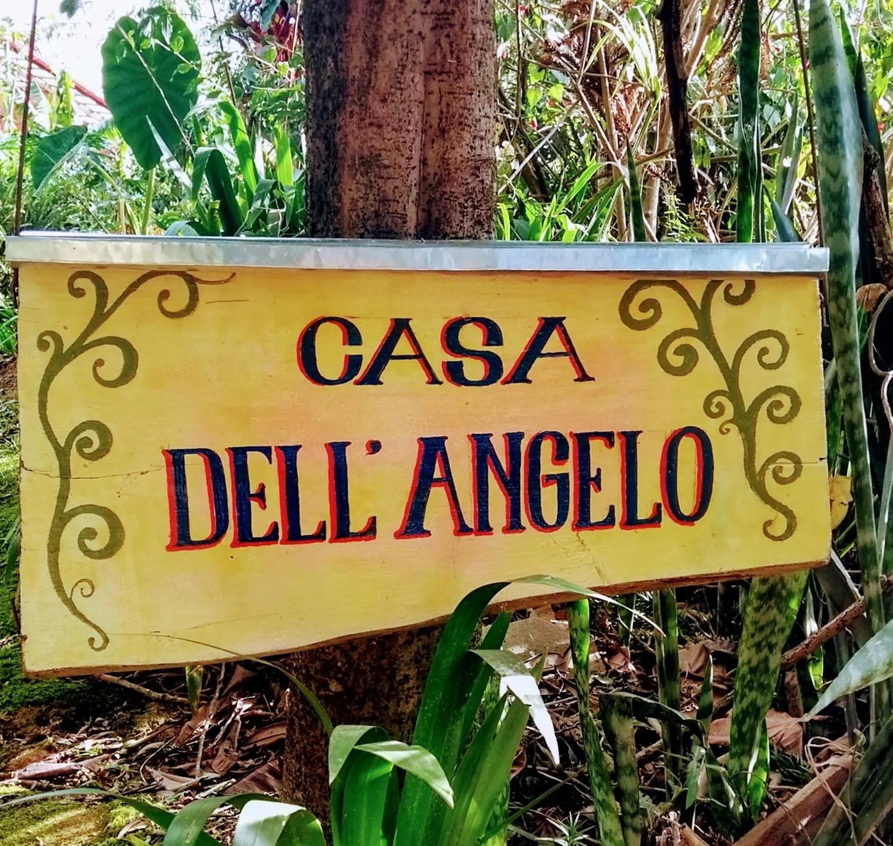 Street view in Casa Dell Angelo Apartamentos