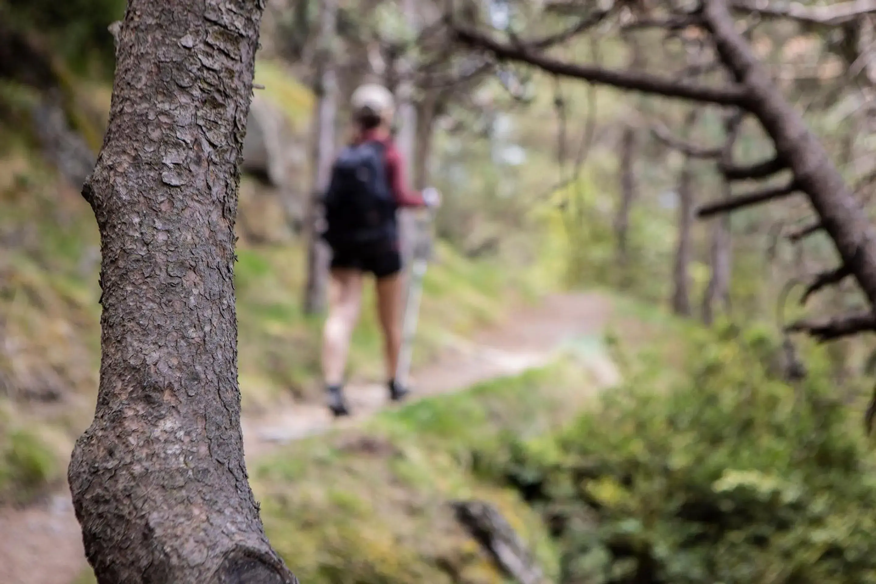 Hotel Piolets Soldeu Centre by Nexta Hotel Piolets Soldeu Centre by Nexta