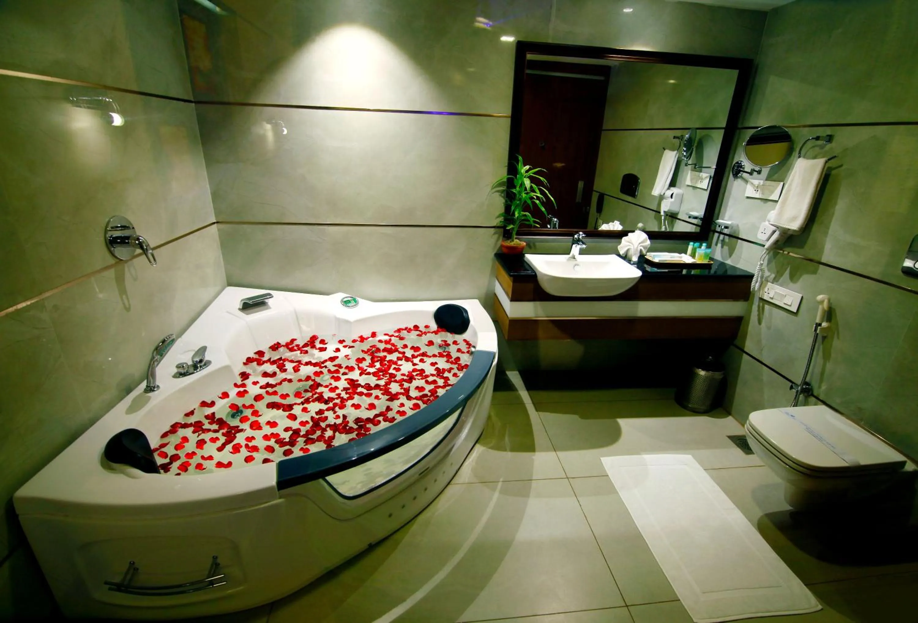 Shower in Hotel Blue Nile