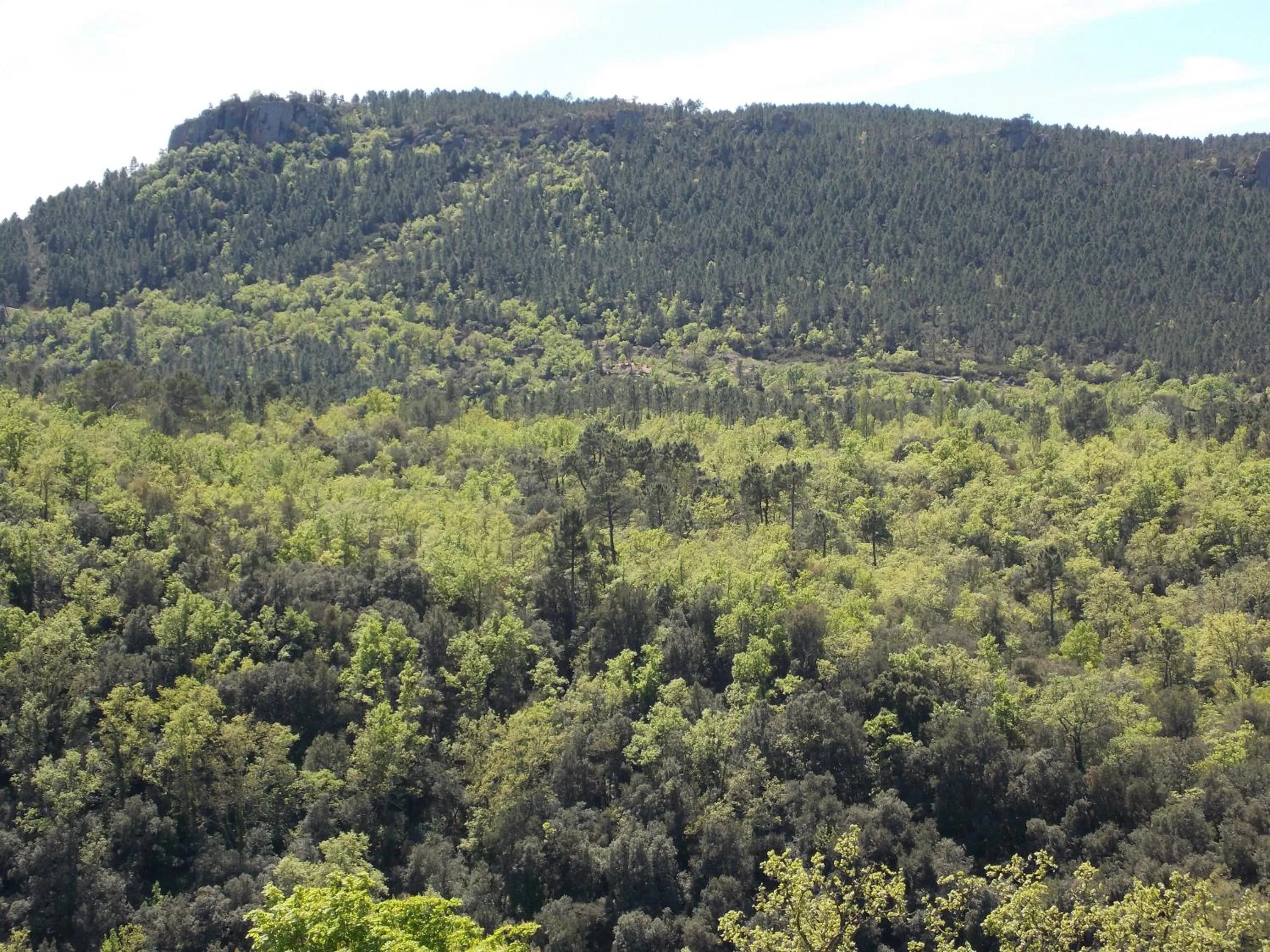 Spring in Au Relais Provencal