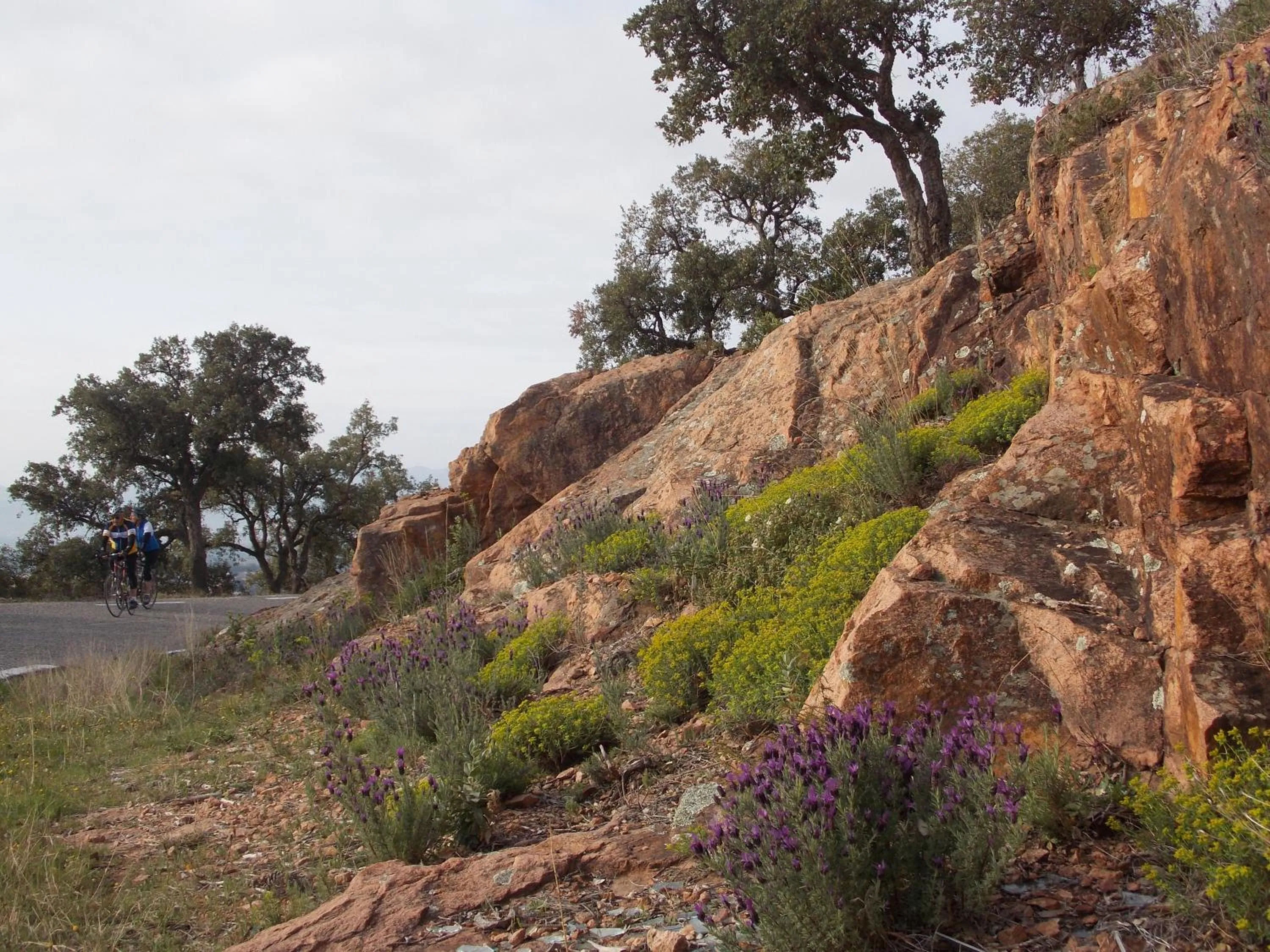 Natural landscape in Au Relais Provencal