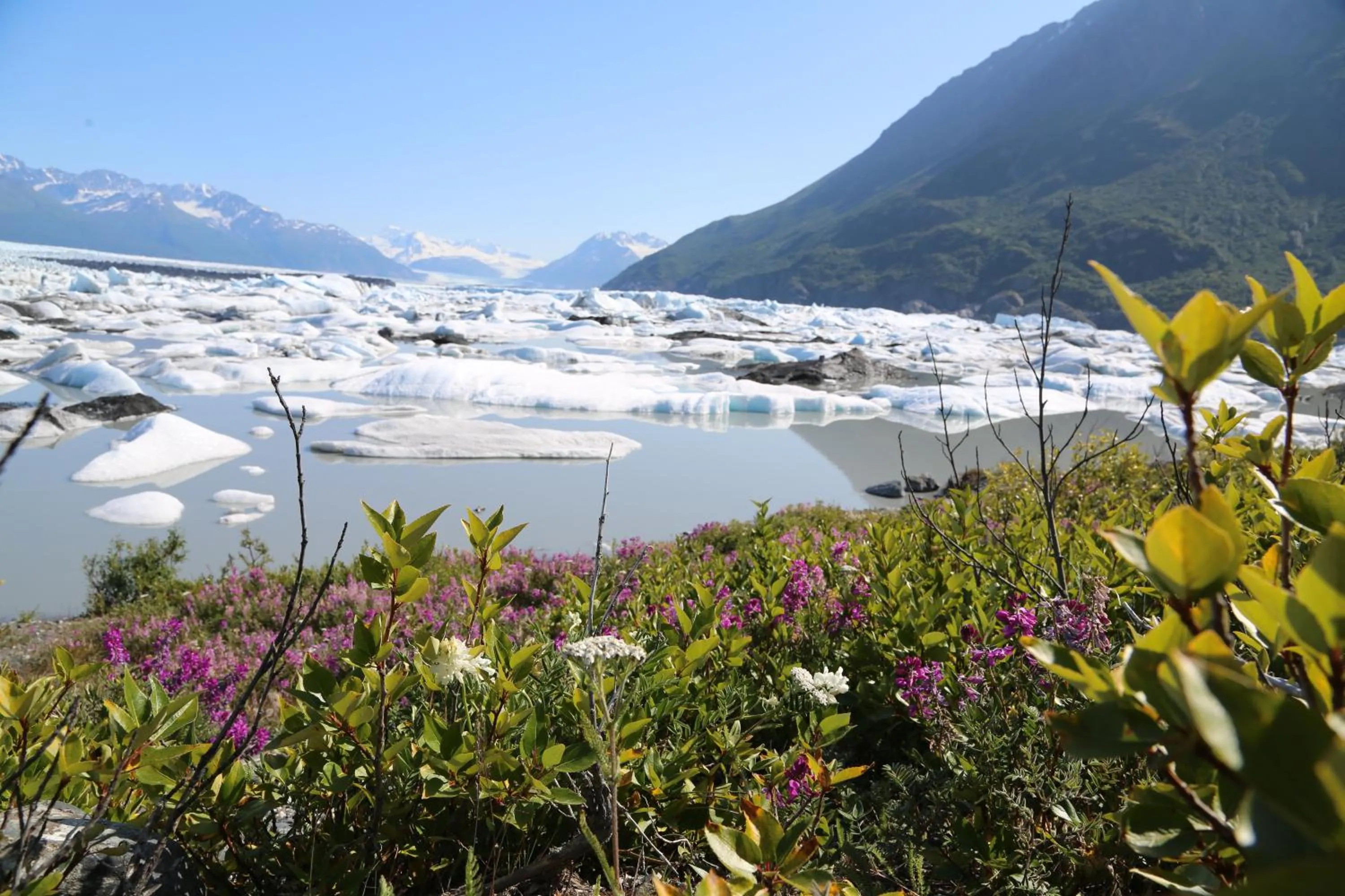 Spring in Alaska Glacier Lodge