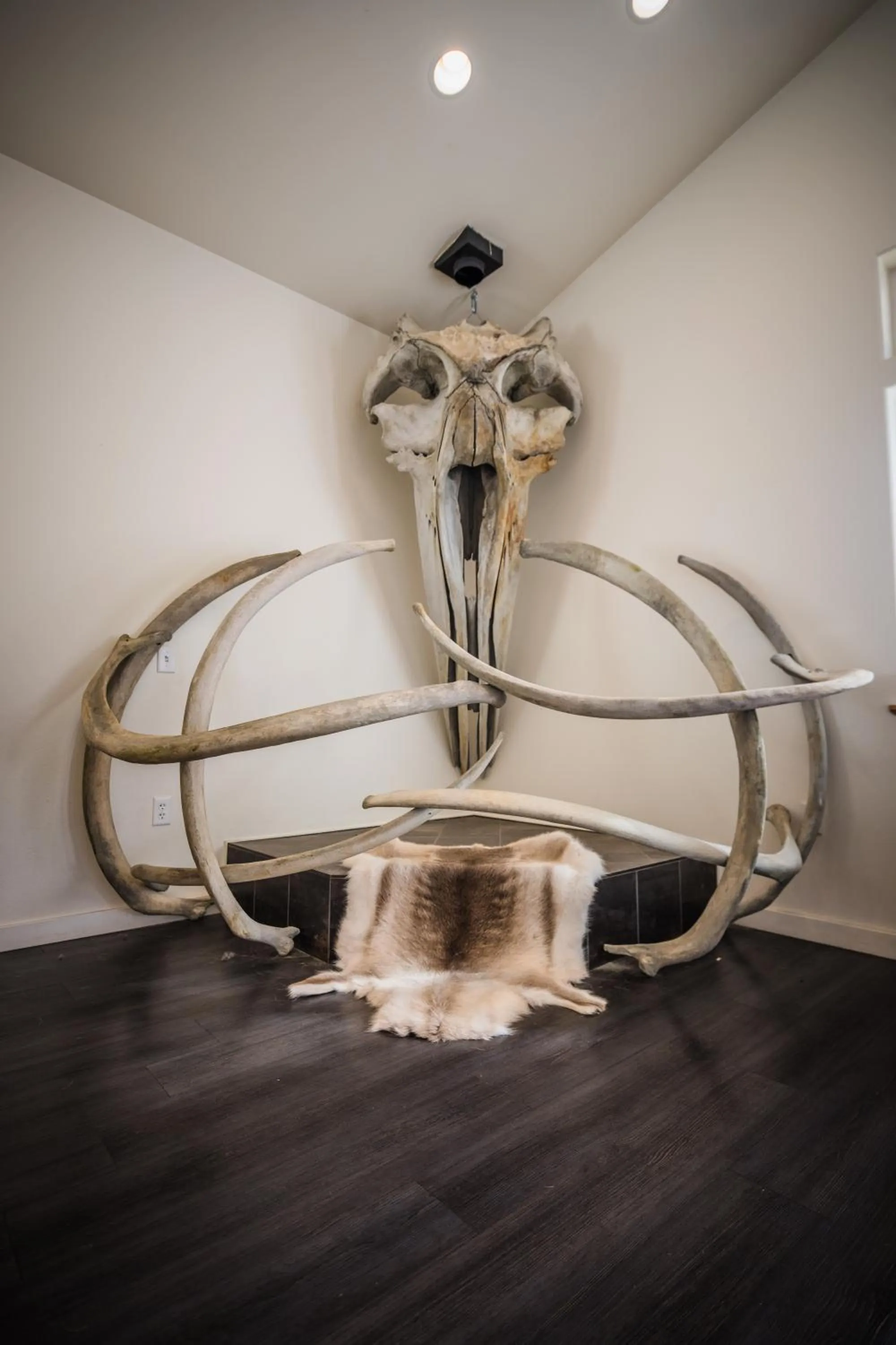 Decorative detail in Alaska Glacier Lodge