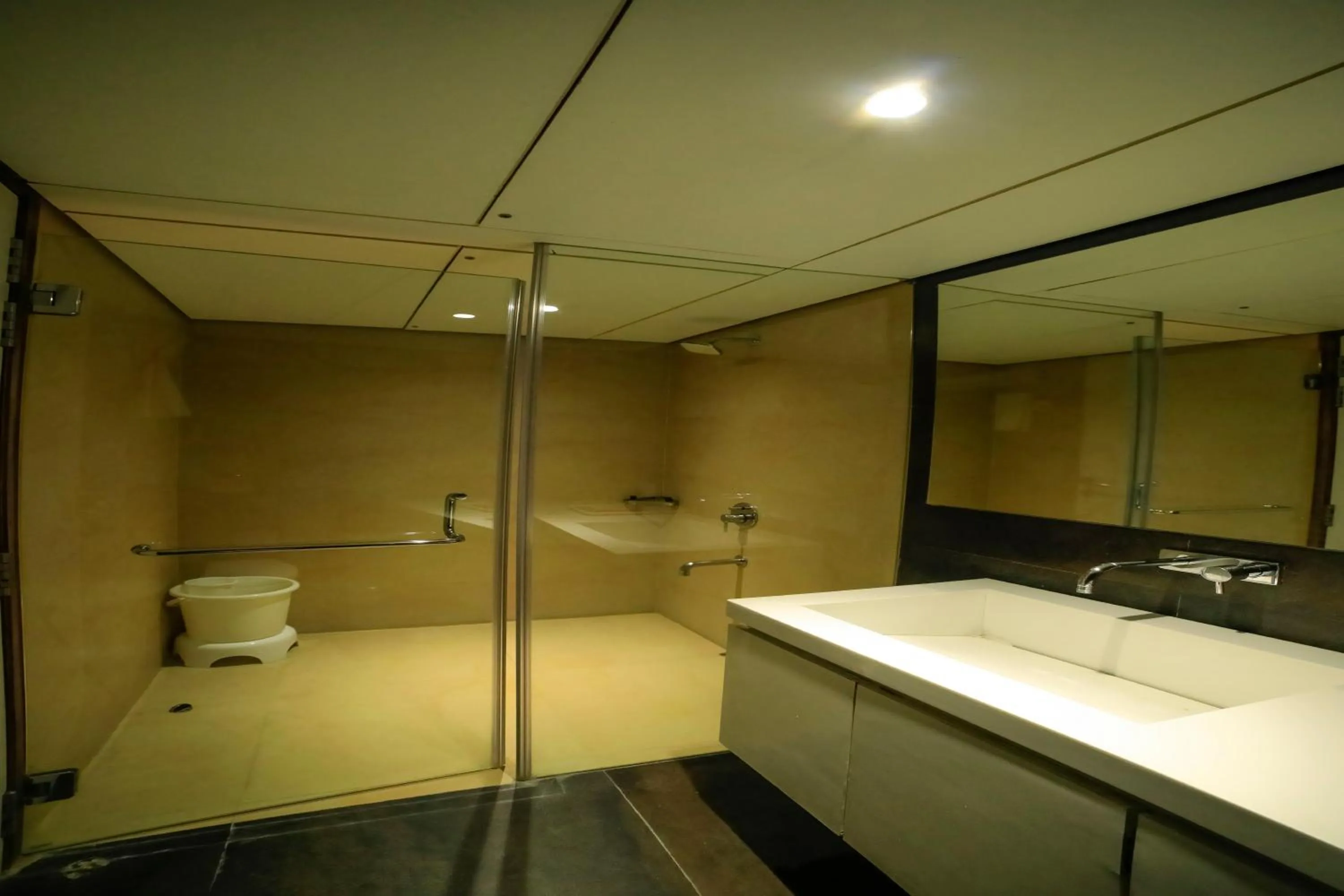 Shower in Hotel German Palace Near to Airport