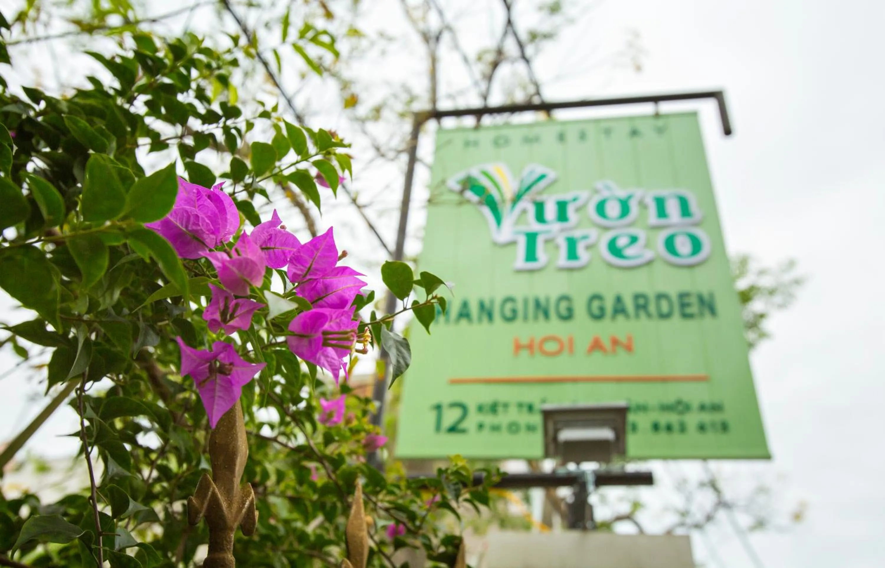 Property logo or sign in Hanging Garden Hoi An