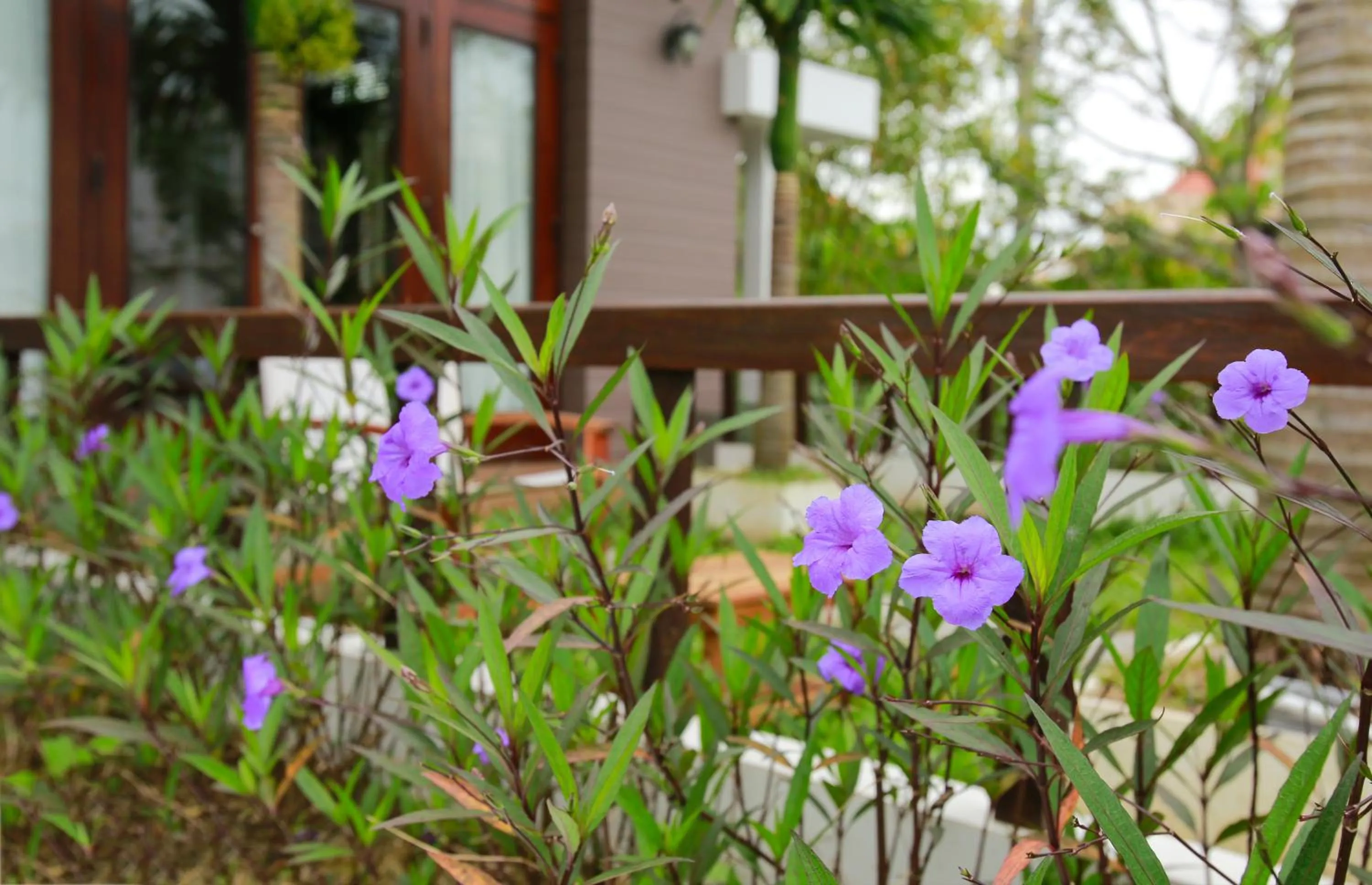Garden view in Hanging Garden Hoi An