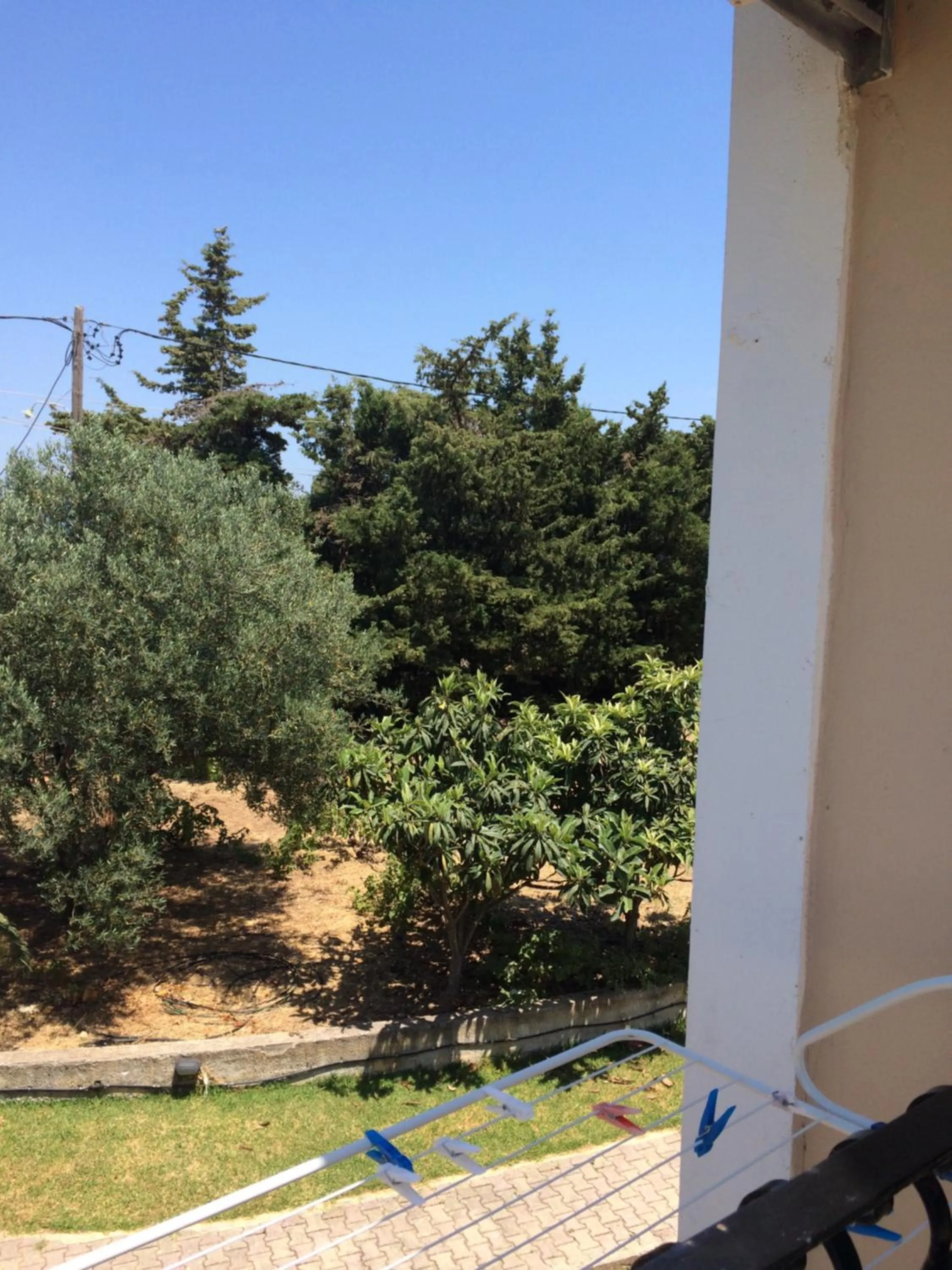 Garden in Koukounaries Studios