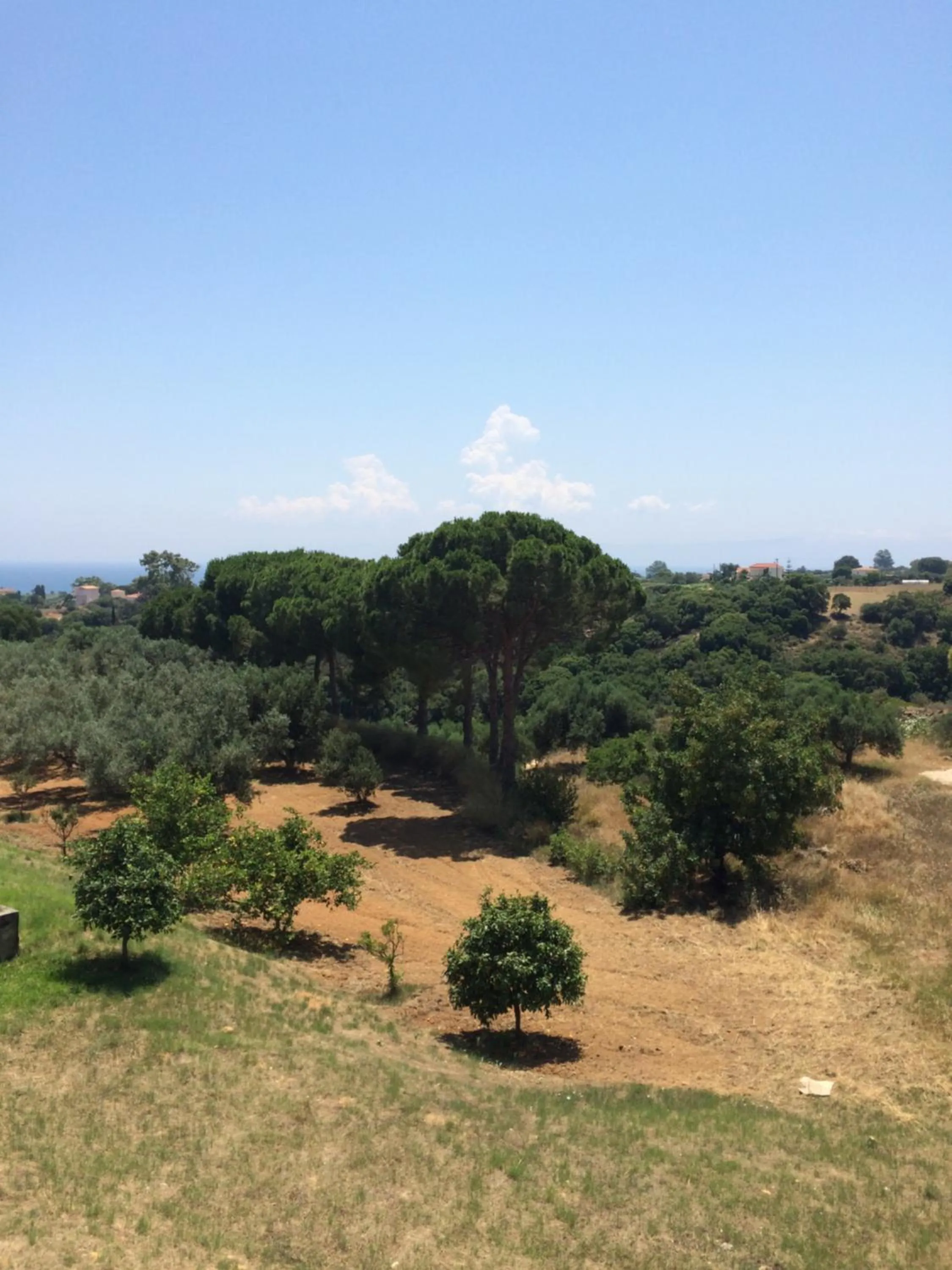 Natural landscape in Koukounaries Studios