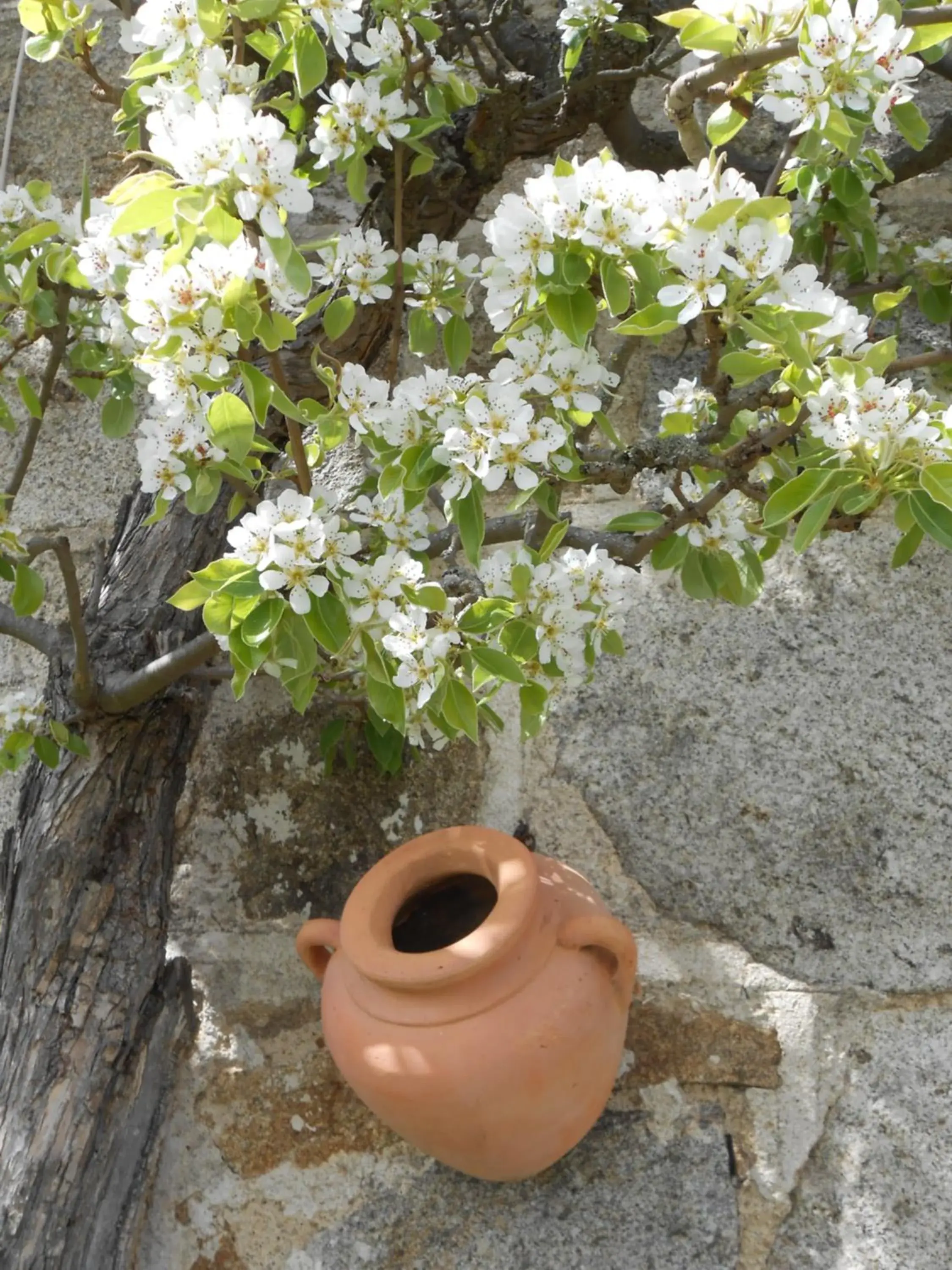 Double Room with Garden View - single occupancy in Chambre D'hôtes Myrtille Double Room with Garden View - single occupancy in Chambre D'hôtes Myrtille