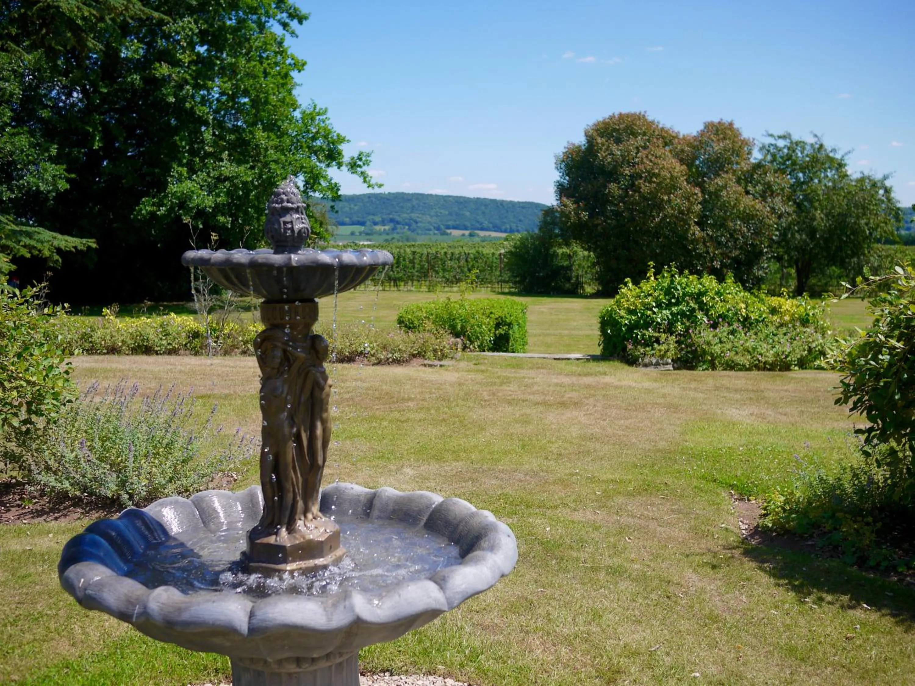 Garden in Glewstone Court Country House Hotel