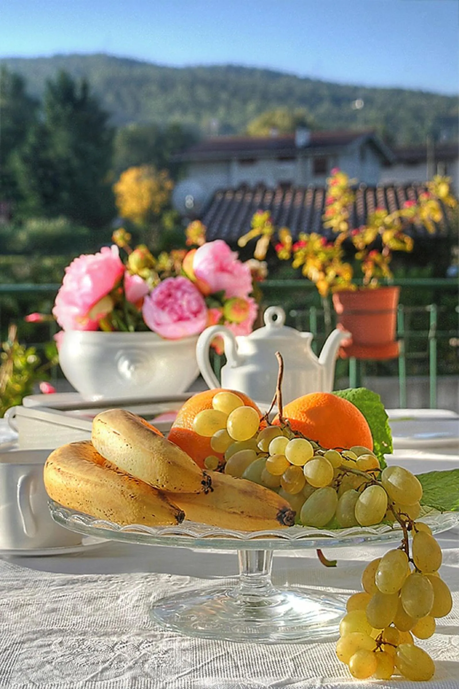 Natural landscape in Residenza Guglielmi