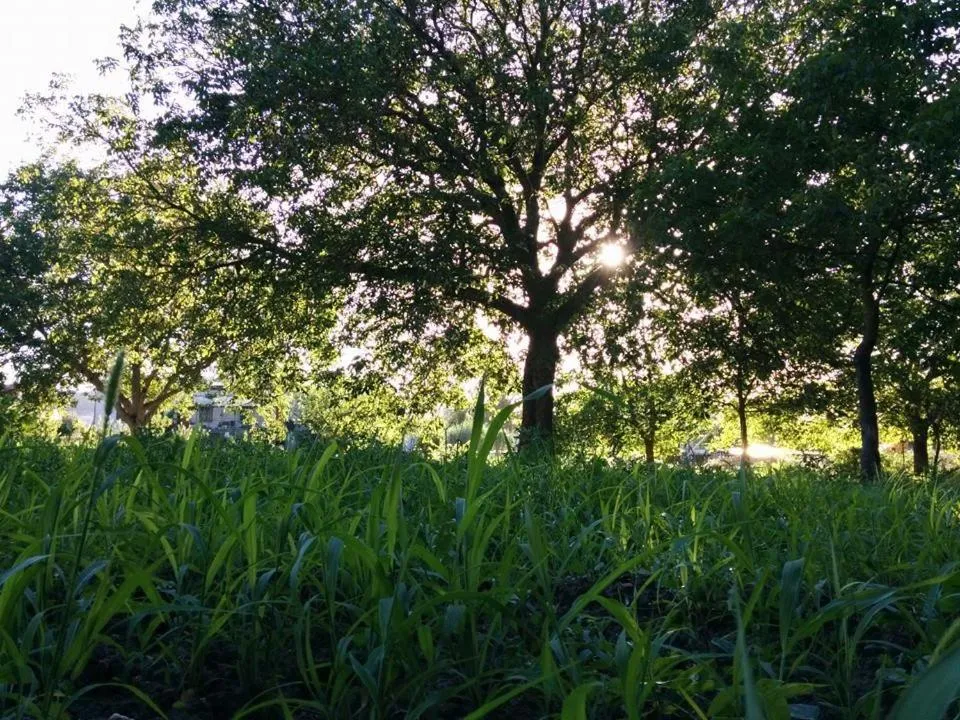 Natural landscape in Residenza Guglielmi