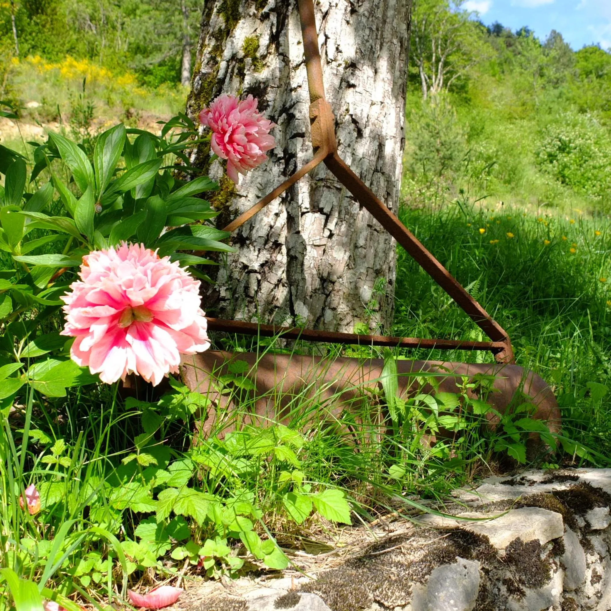 Garden in La Sauvanière
