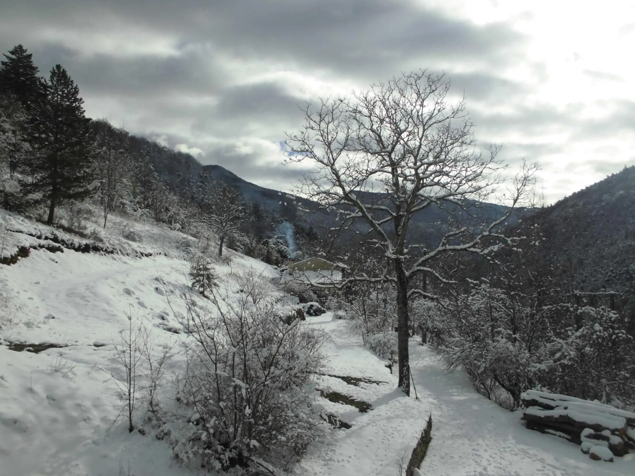 Winter in La Sauvanière