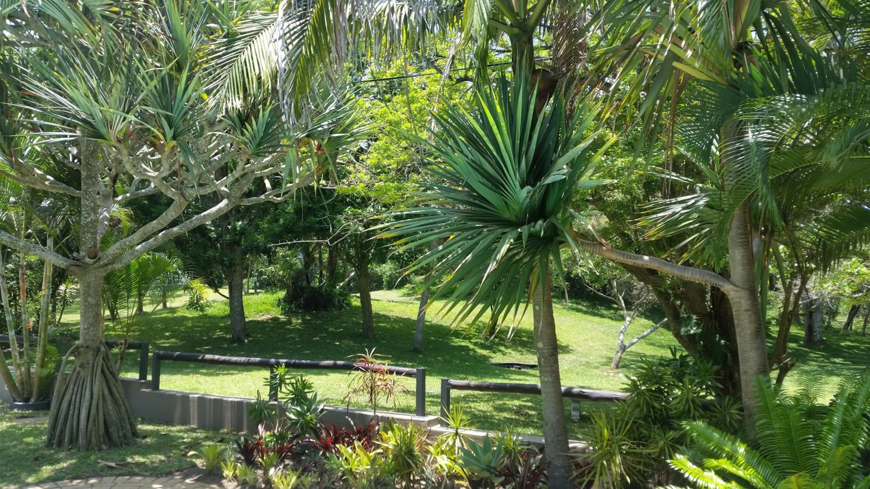 Garden view in The Sandpiper