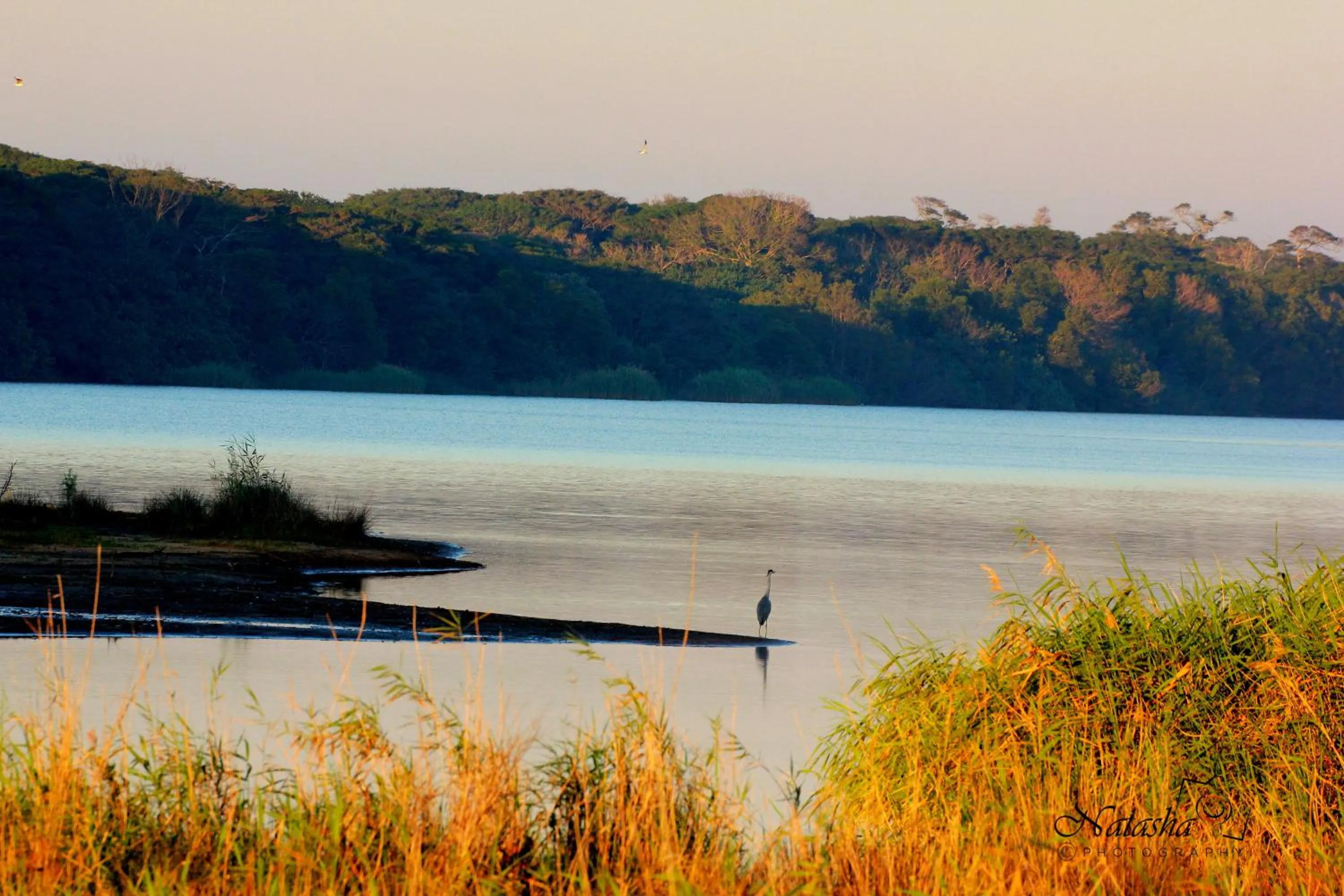 Neighbourhood in The Sandpiper
