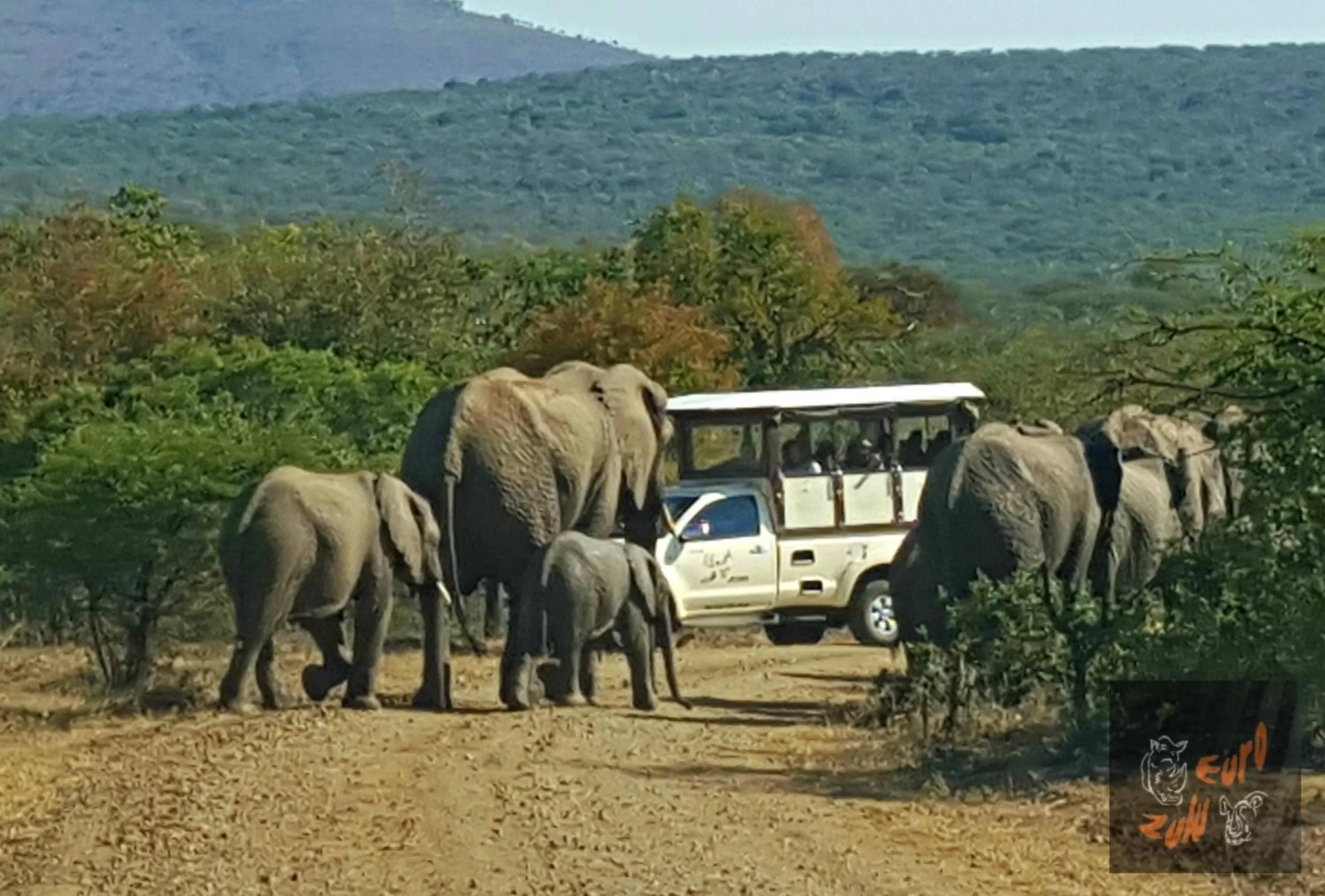 Neighbourhood in The Sandpiper