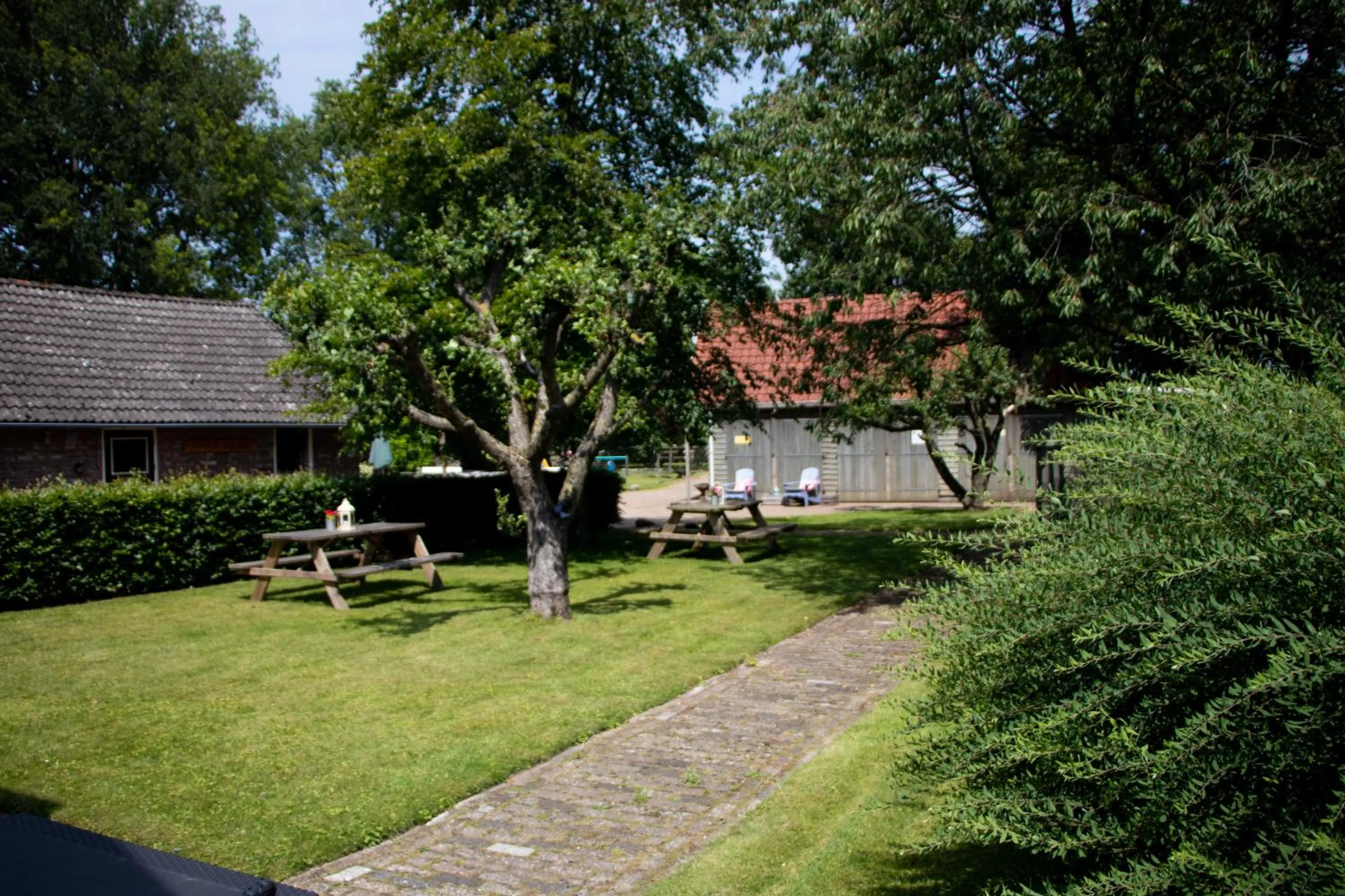 Garden in B&B Aangenaam - Olde Horst Diever