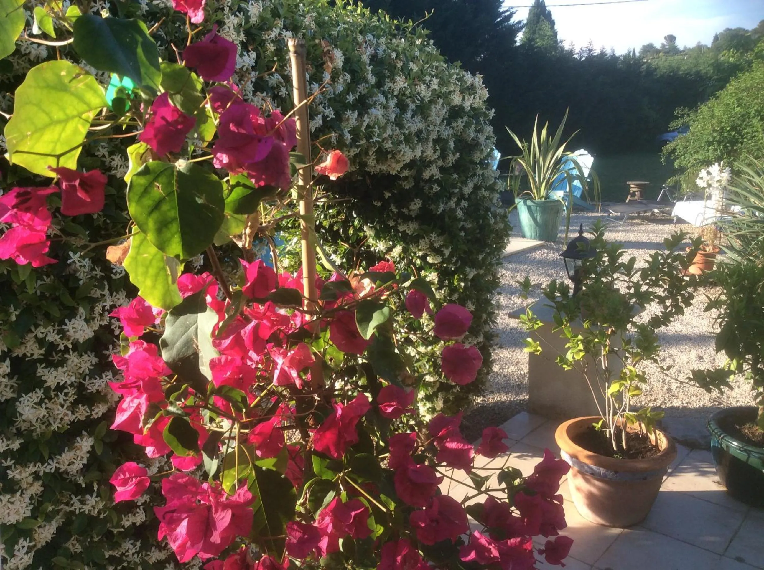 Garden in B&B Maison Brora