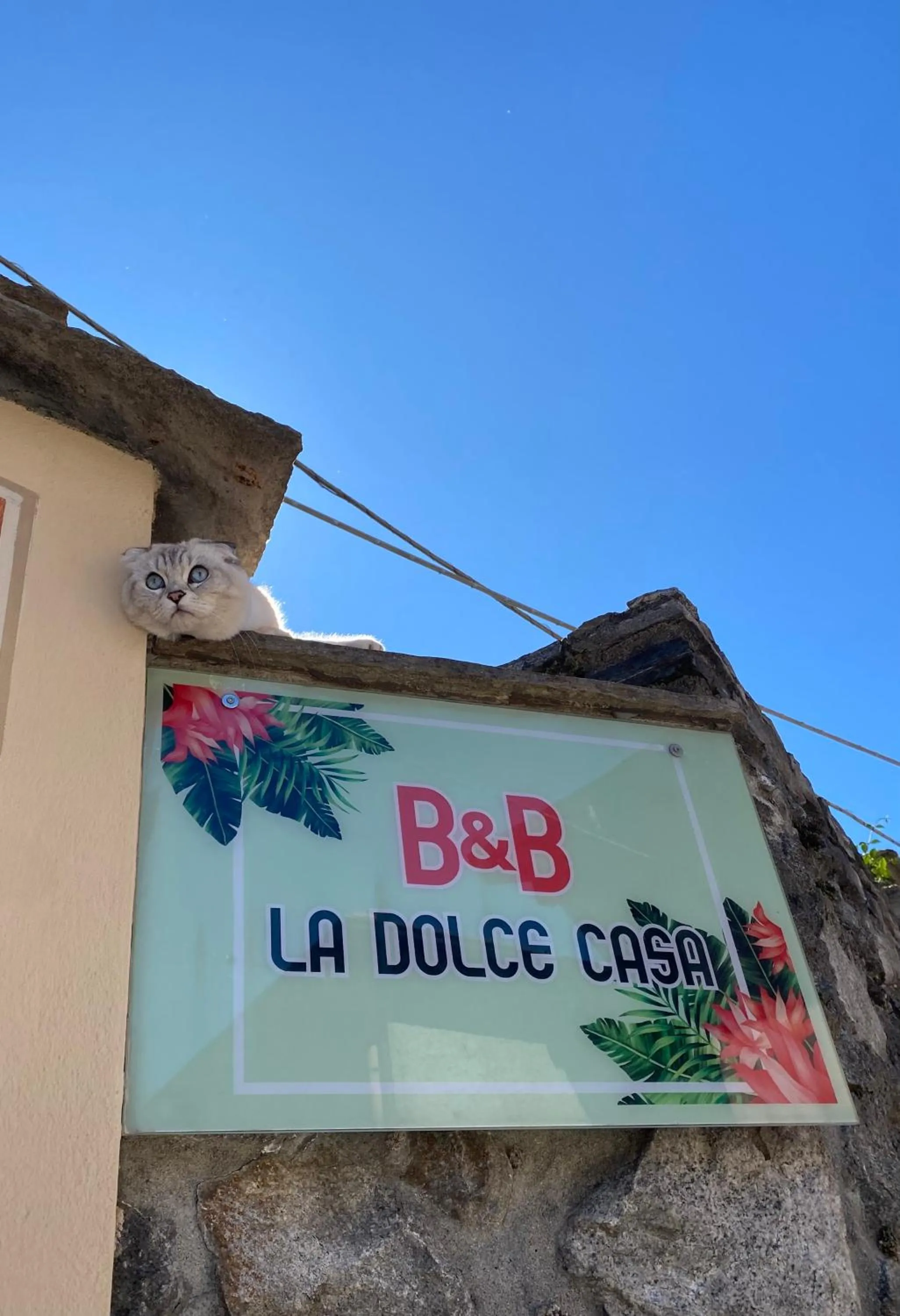 Property logo or sign in B&B La Dolce Casa Lago di Como