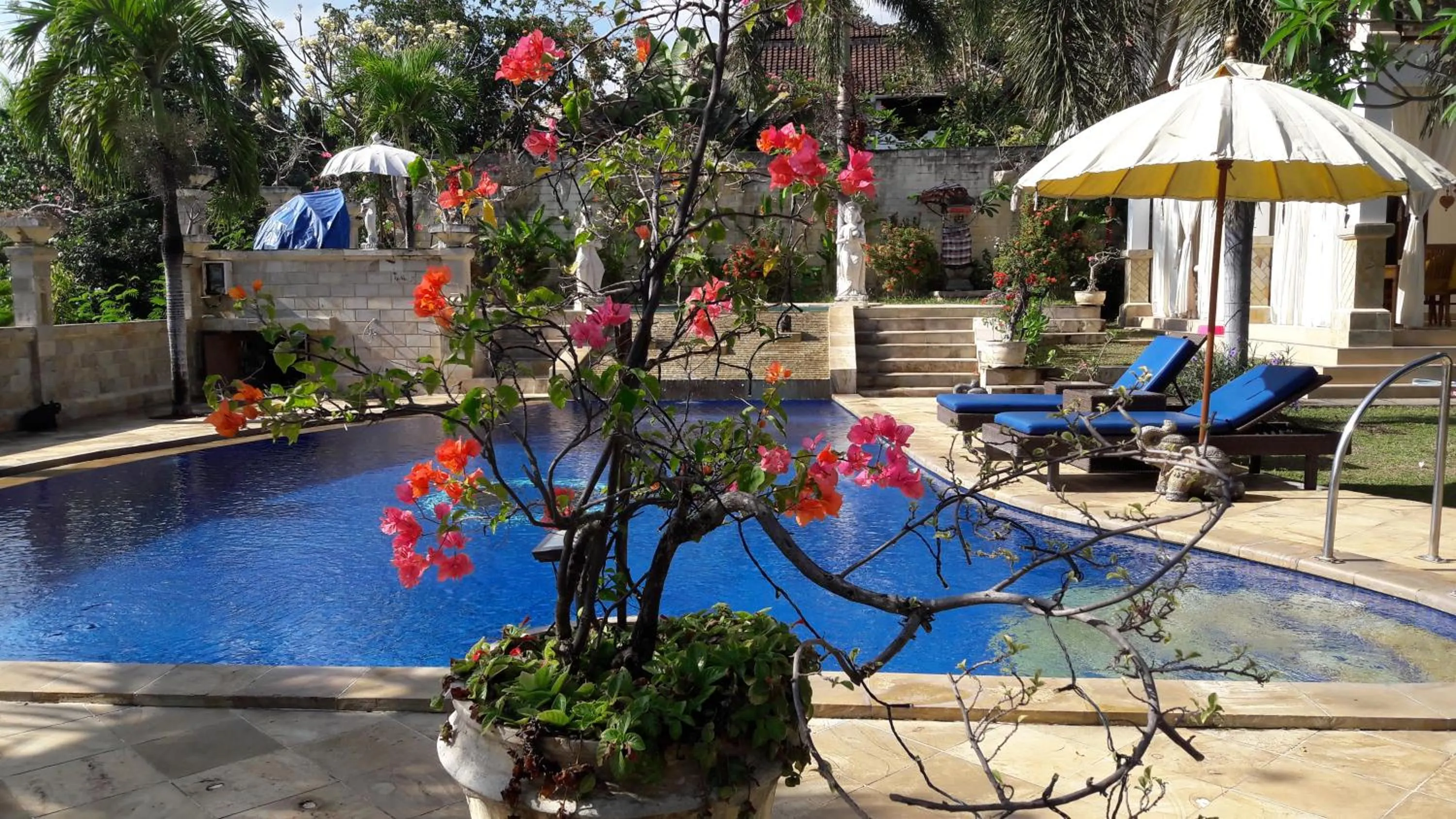 Pool view in Villa Jakaranda and Villa Marakuya