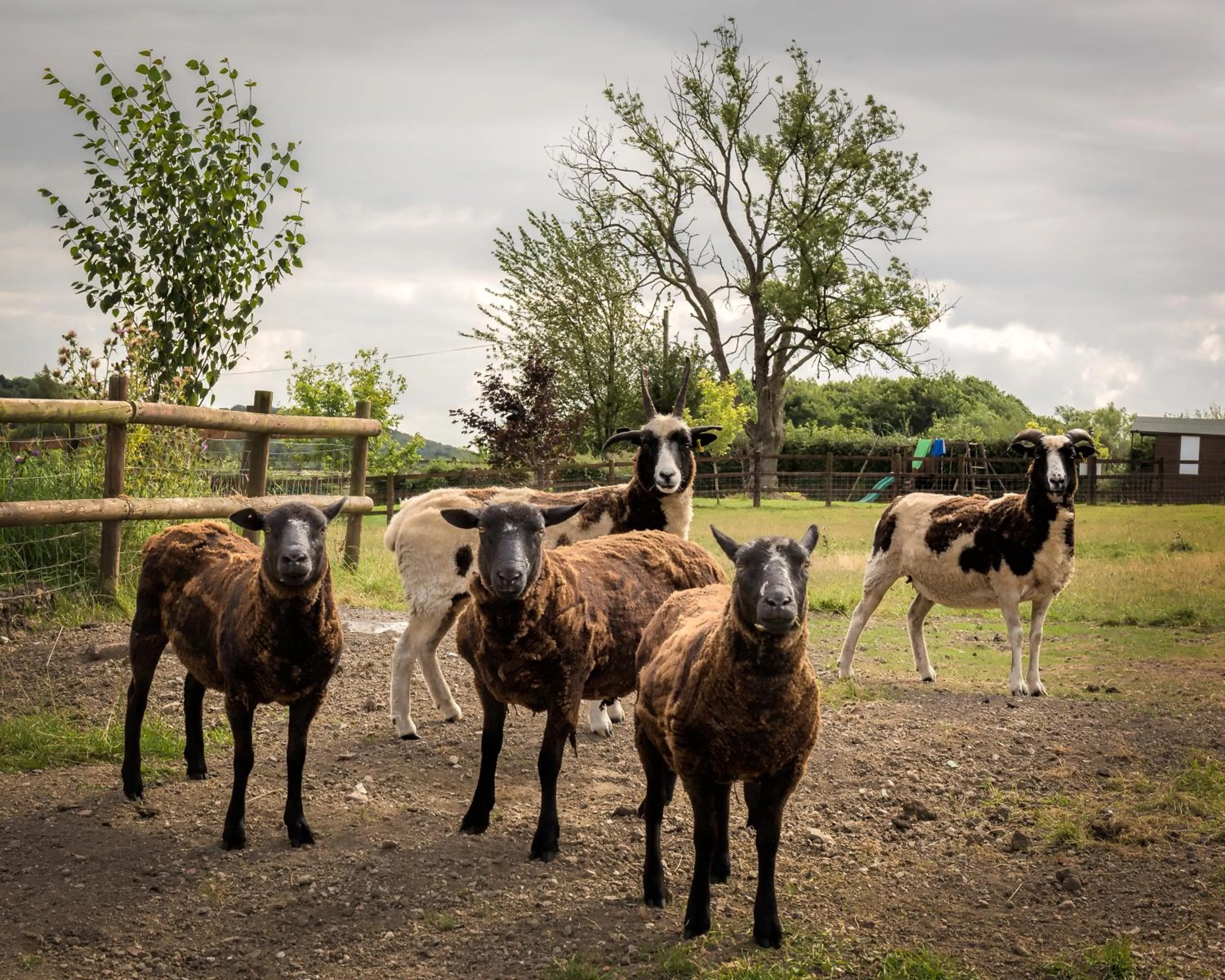 Property building in Oakerthorpe Holiday Village