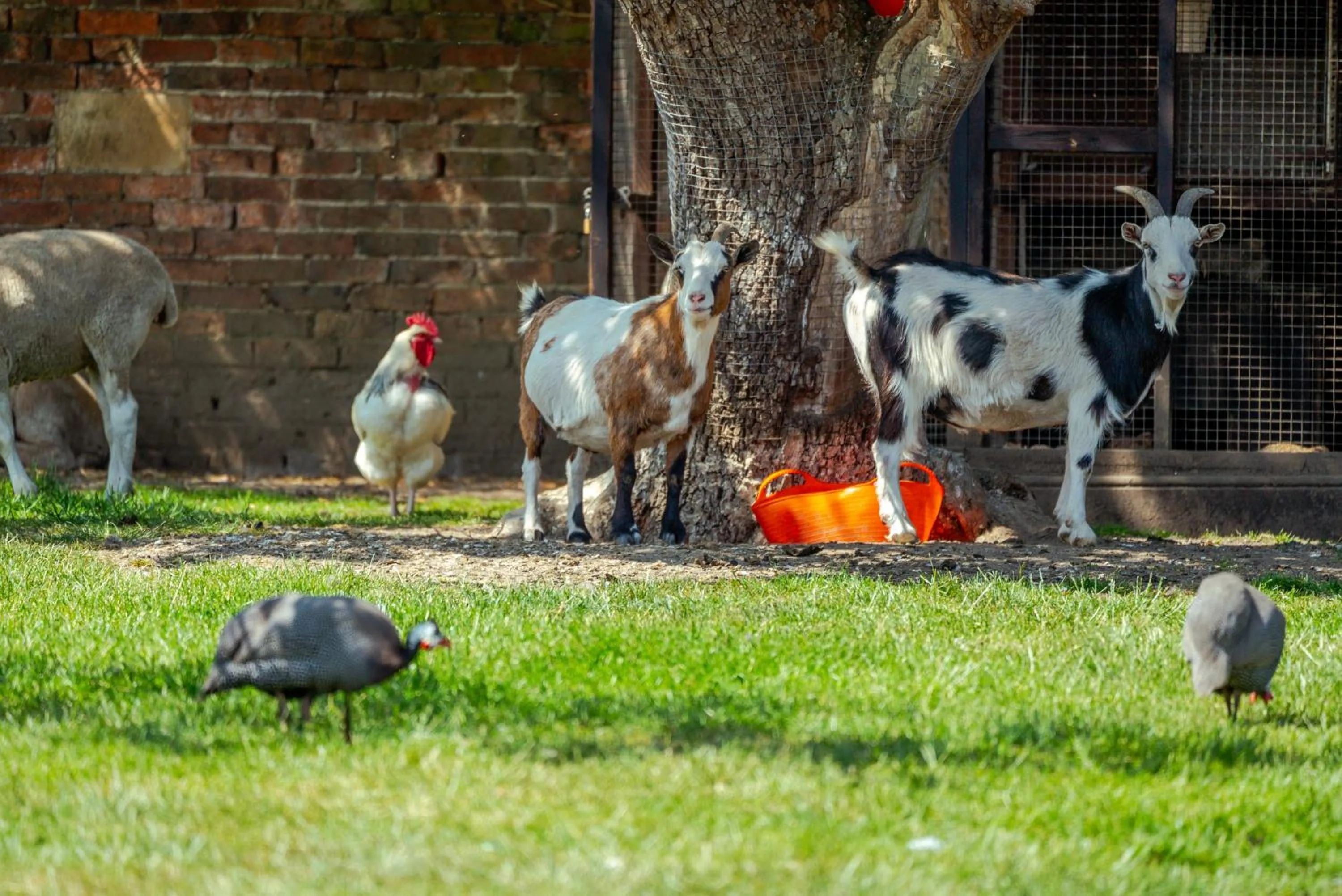 Oakerthorpe Holiday Village